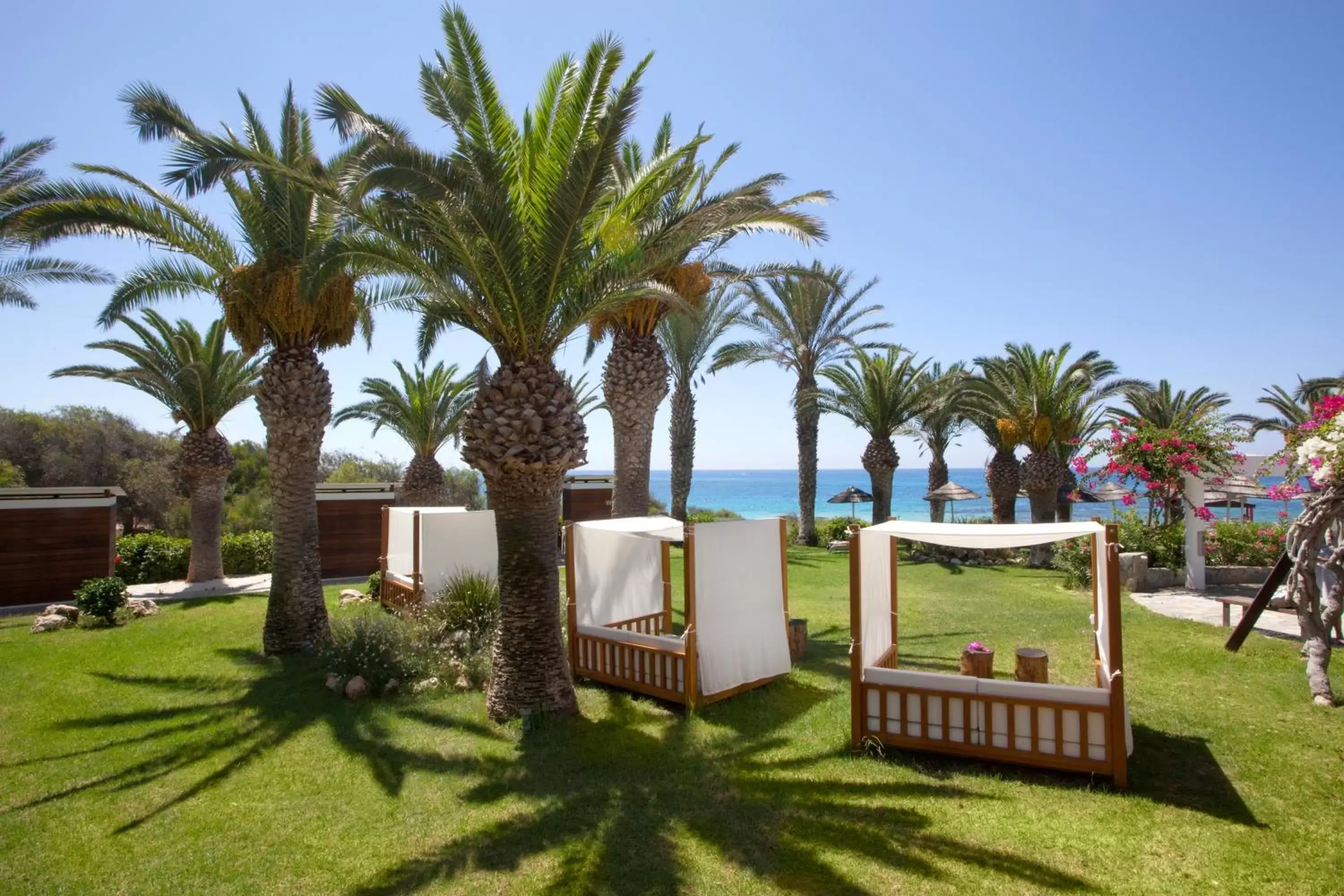 Garden in Alion Beach Hotel