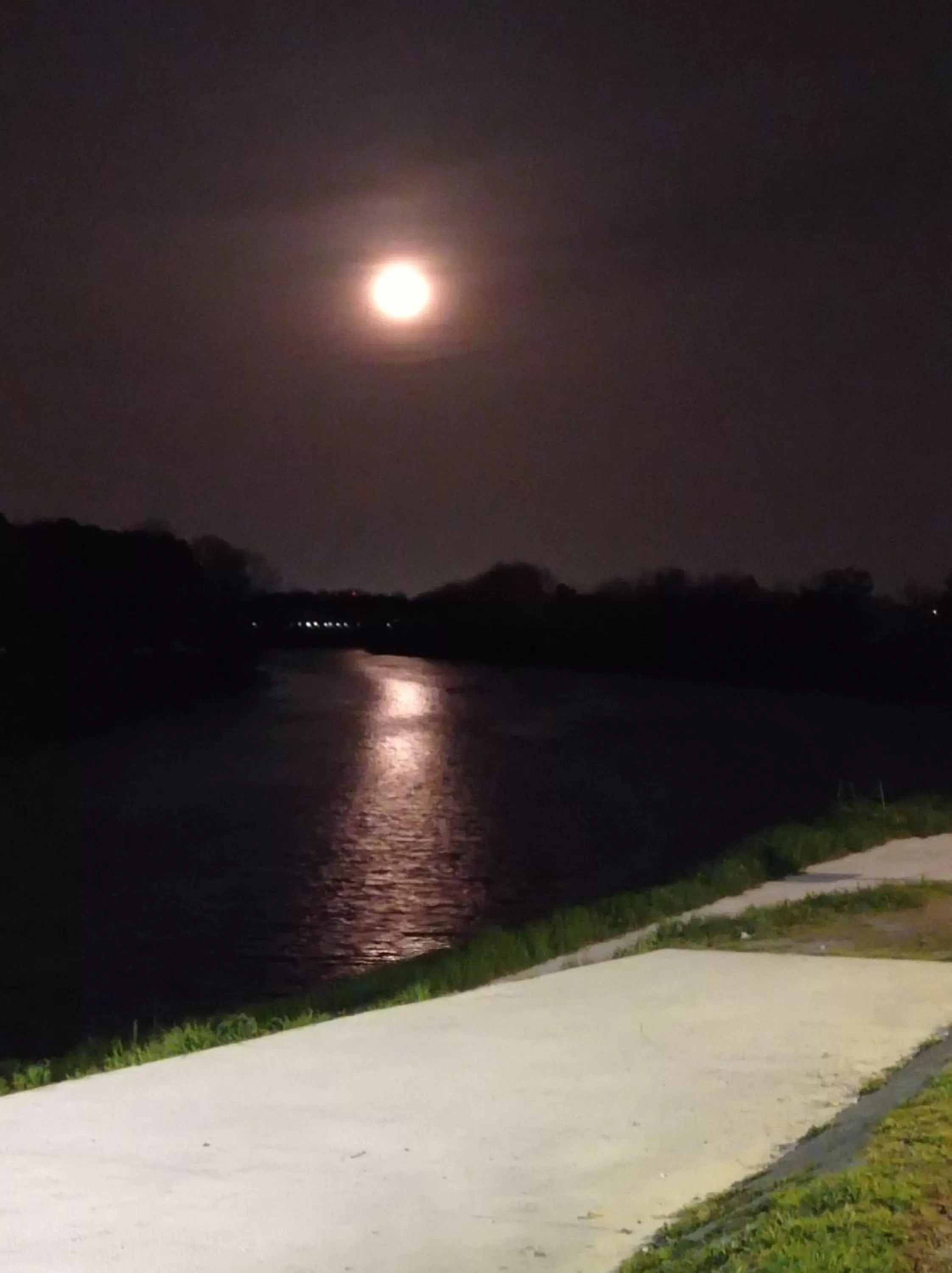 Night in B&B Toscana