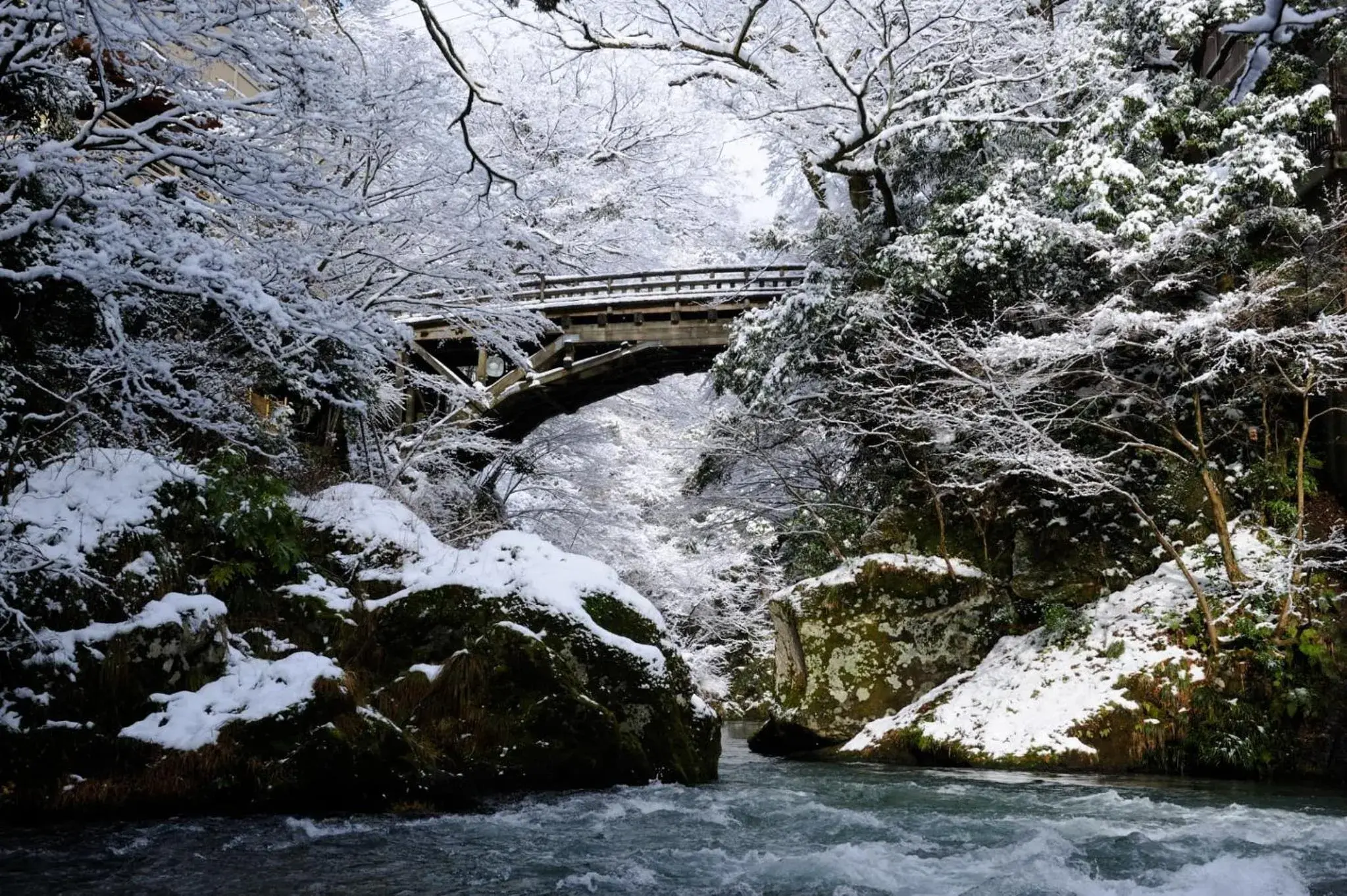 Nearby landmark, Winter in Shirasagiyu Tawaraya