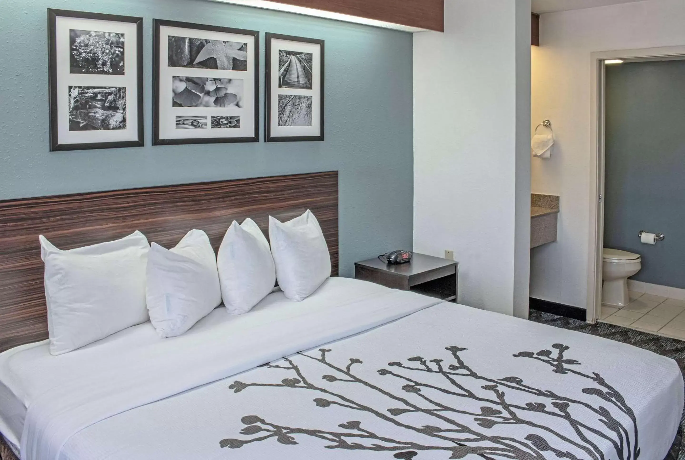 Bedroom, Bed in Sleep Inn Lake Wright - Norfolk Airport Bedroom, Bed in Sleep Inn Lake Wright - Norfolk Airport