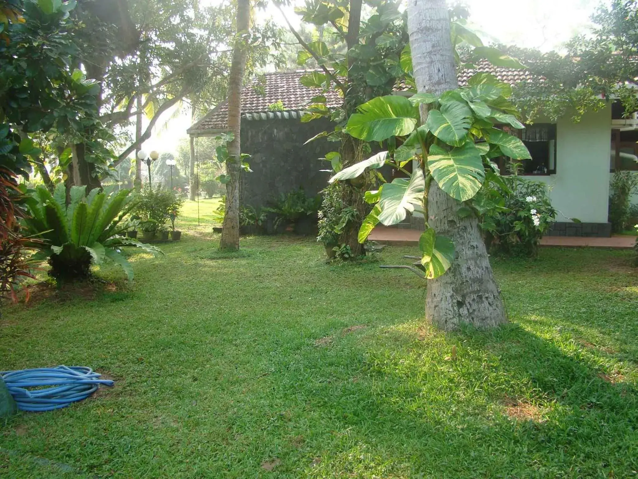 Property building, Garden in Villa Shade