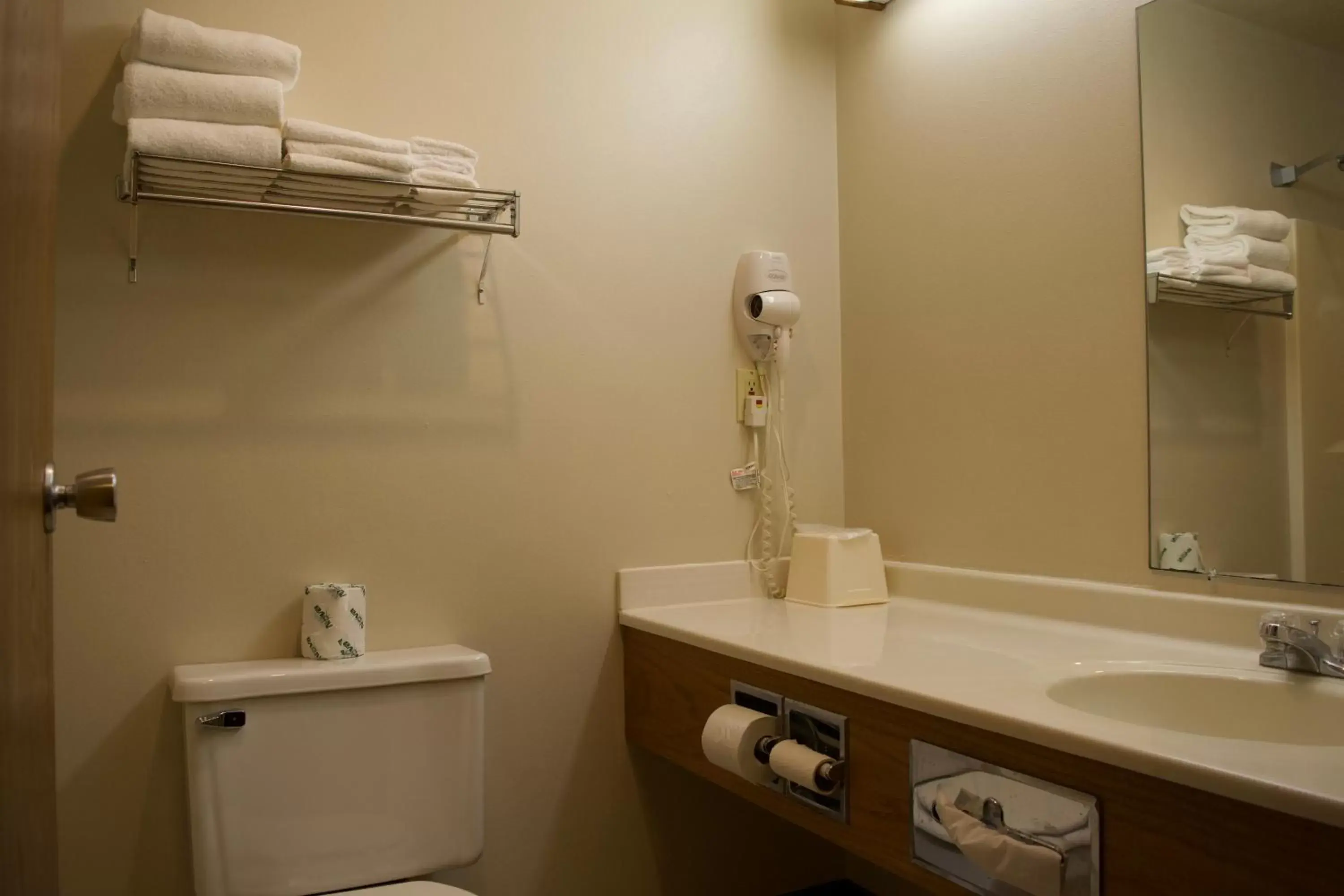Bathroom in AmeriVu Inn and Suites Shawano WI