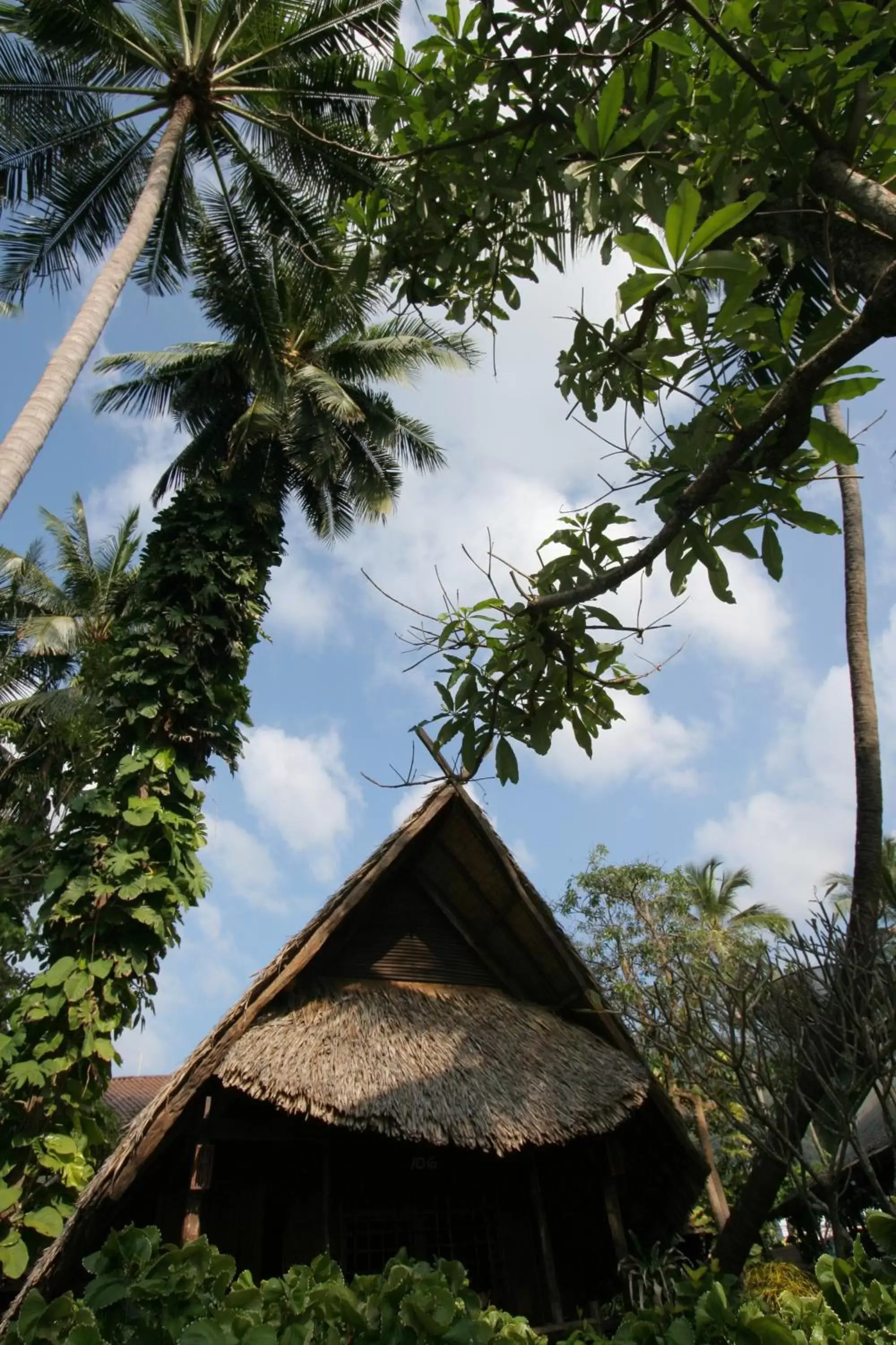 Decorative detail in Banpu Koh Chang Resort