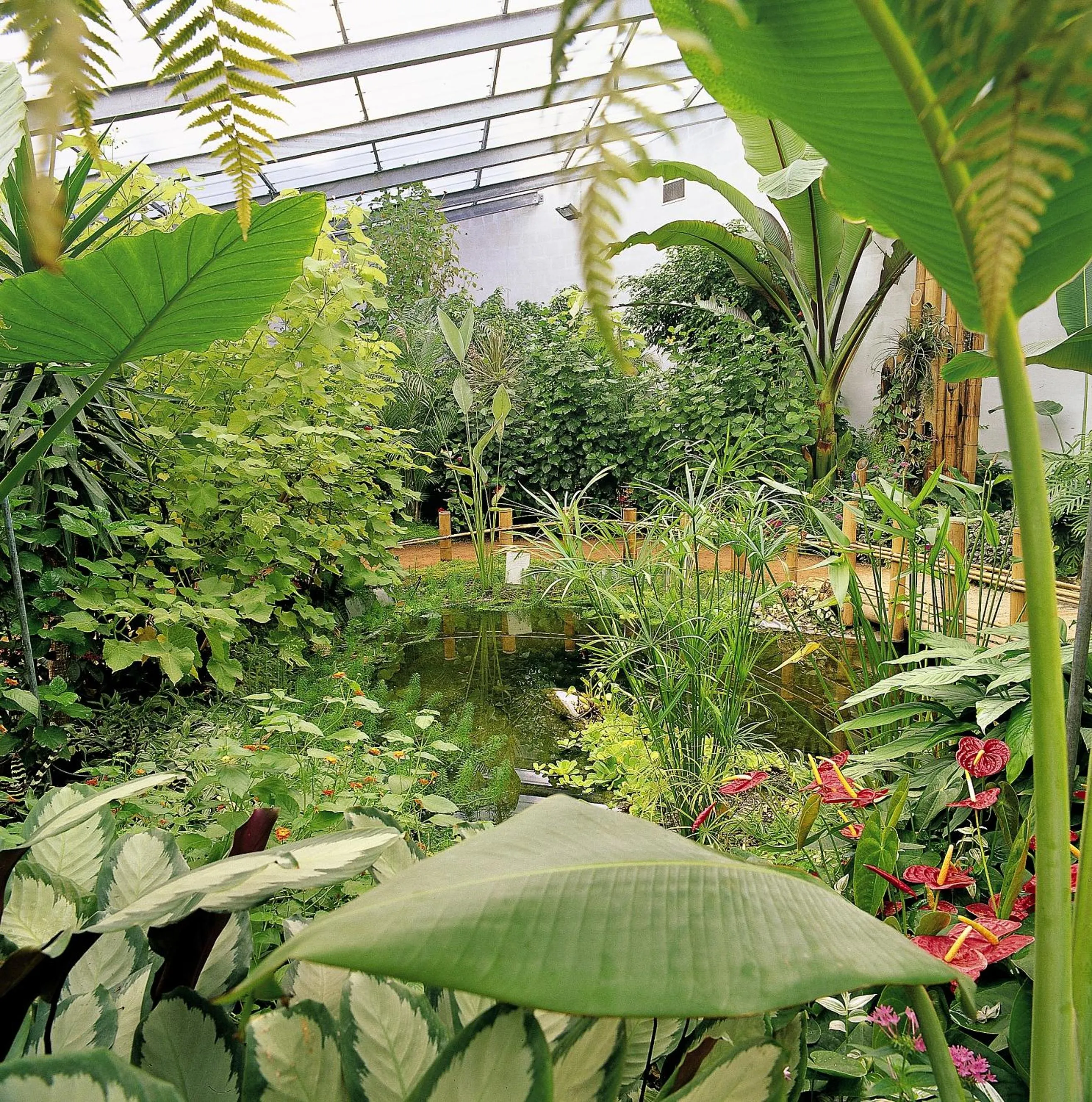 Area and facilities in ibis Styles Orléans