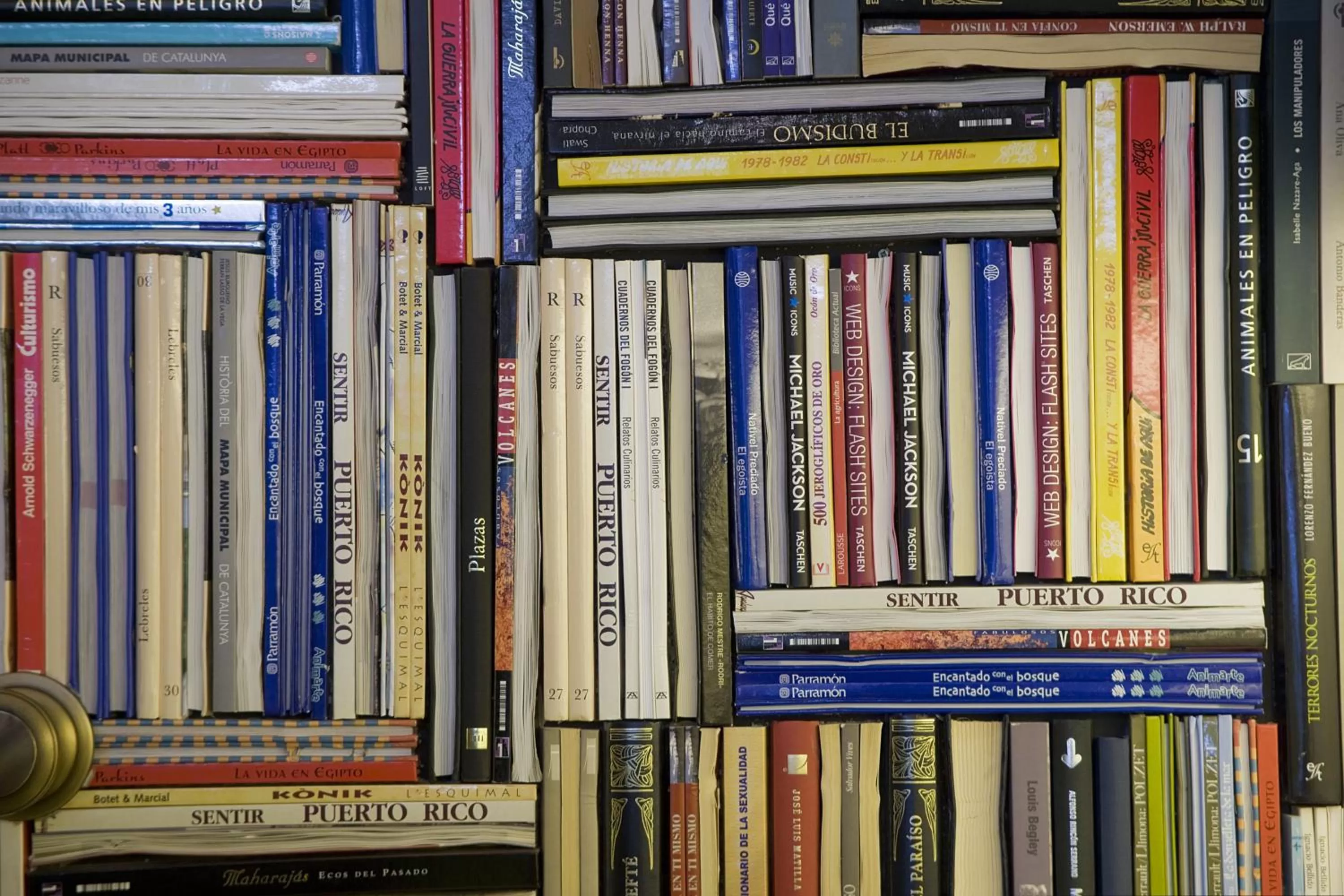 Decorative detail in Praktik Garden