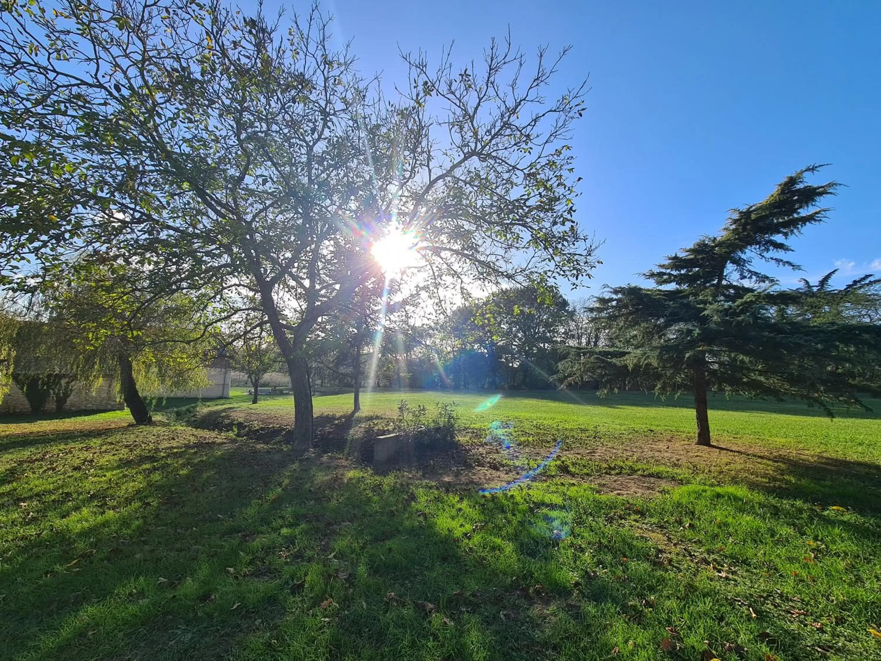 Natural landscape in Le Coq en Repos