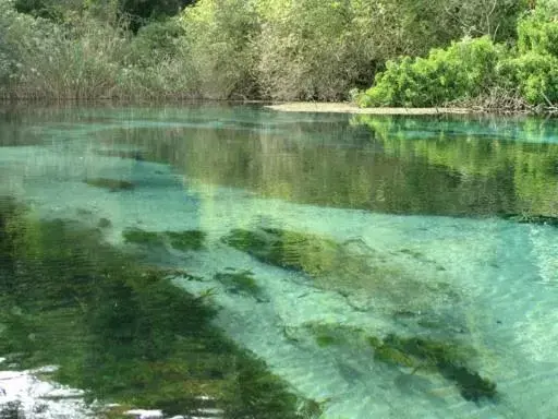 Natural Landscape in Dannunziano Aparthotel