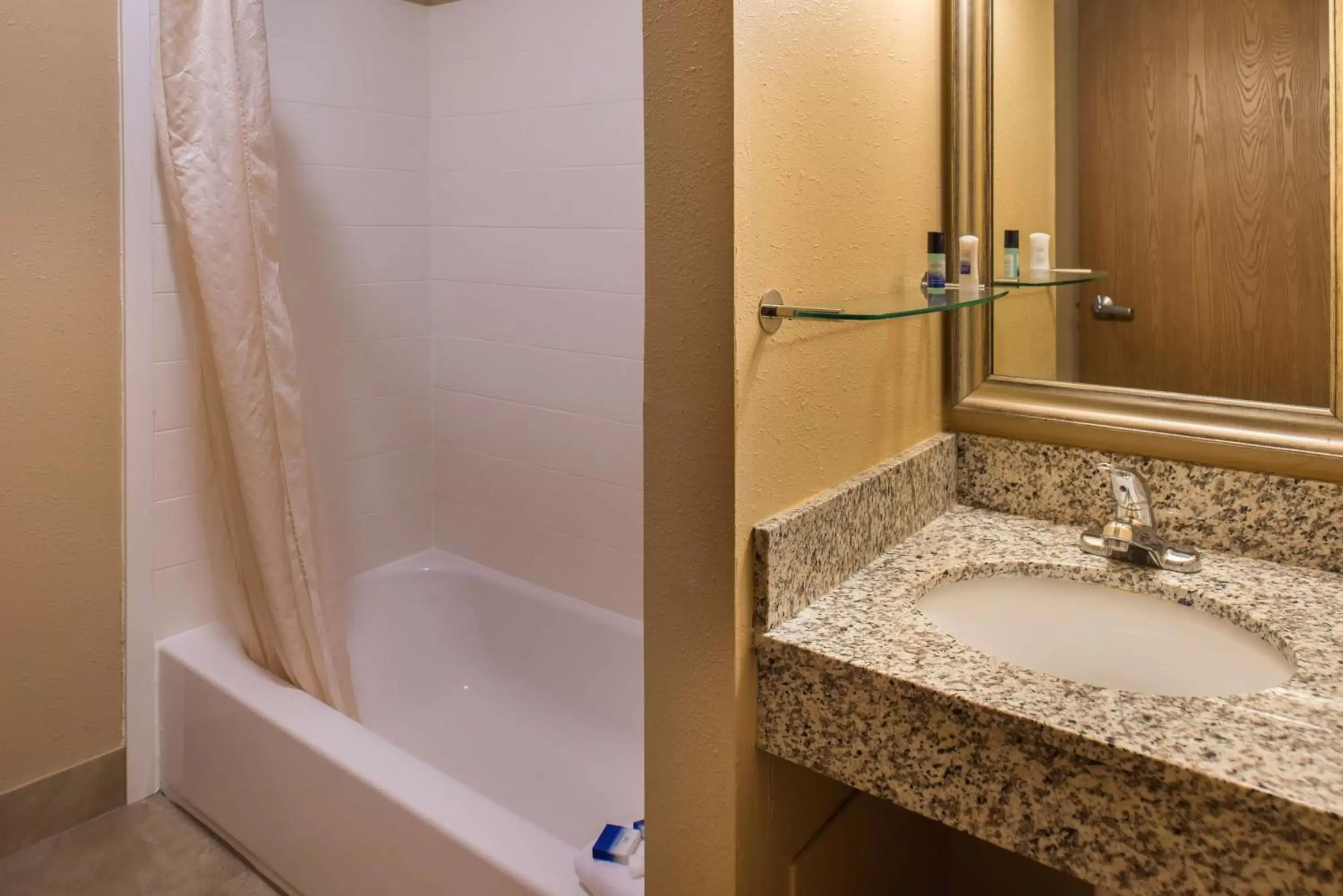 Bathroom in Best Western Ambassador Inn & Suites