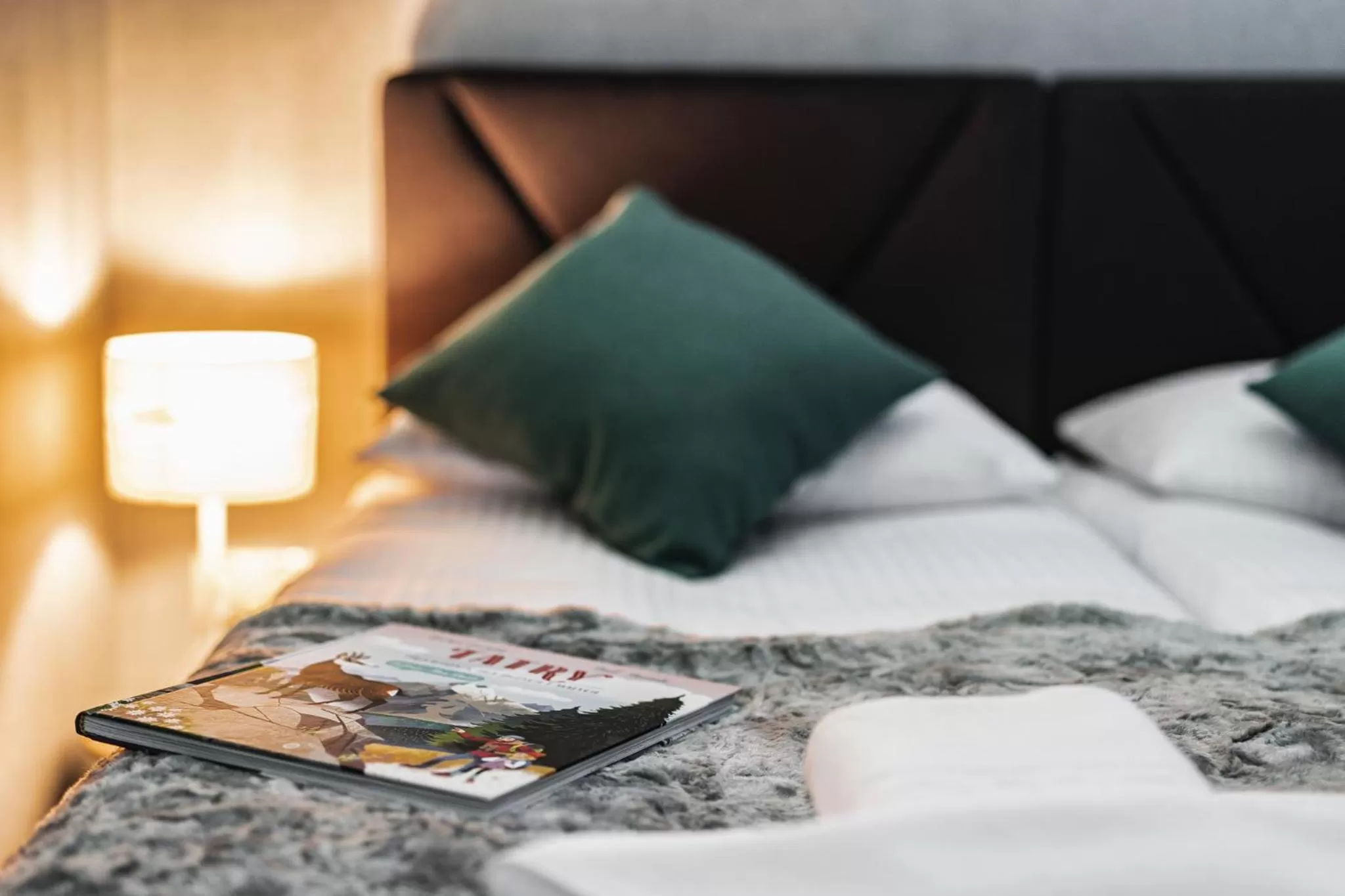 Bed in Apartamenty Jedlina