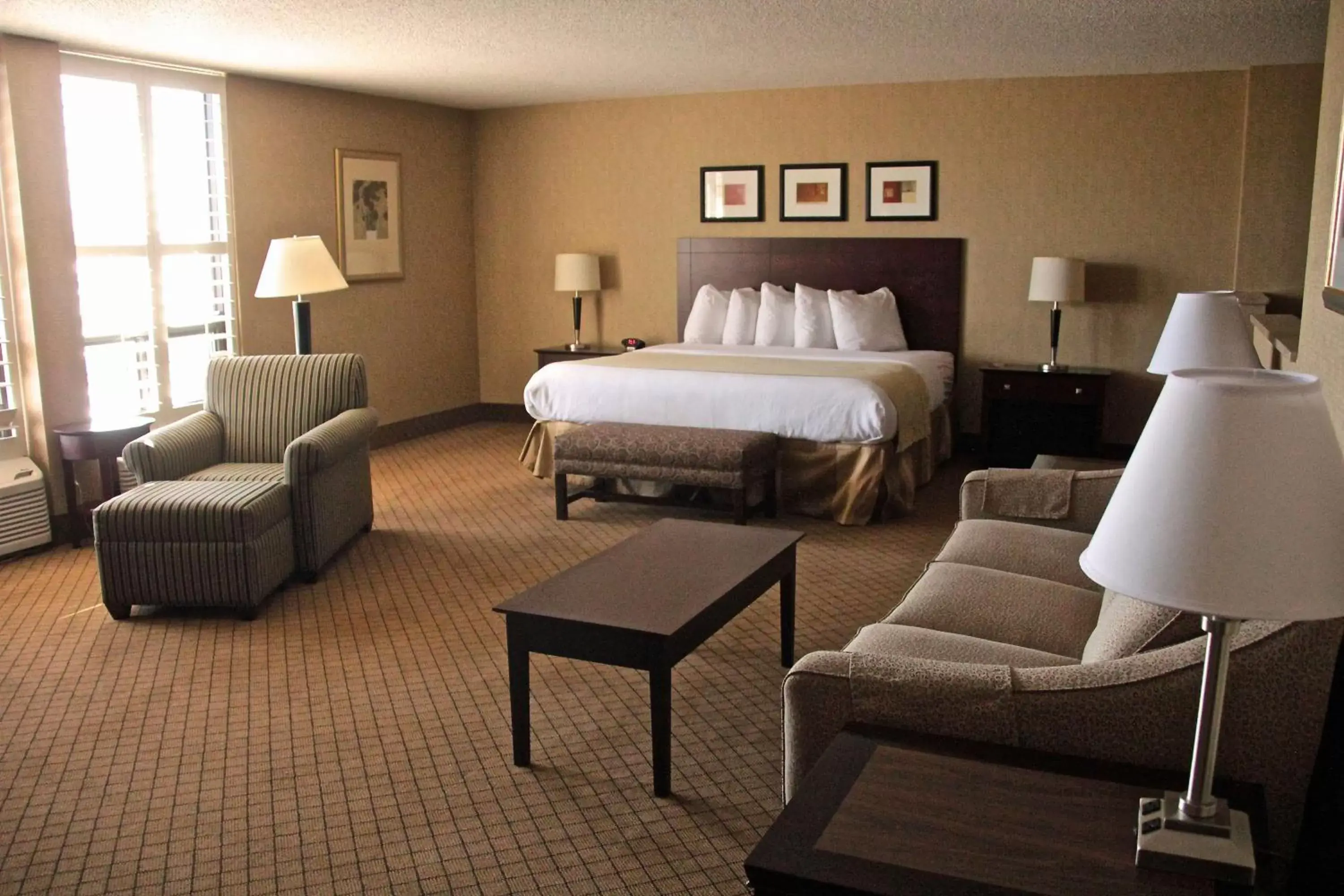 Photo of the whole room, Bed in Best Western Plus York Hotel and Conference Center
