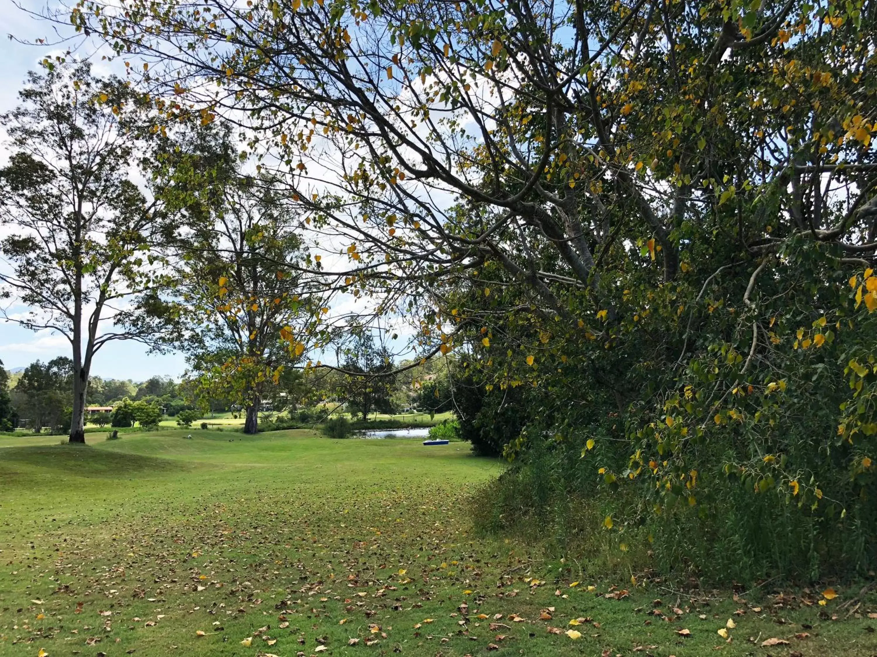 Garden view, Garden in The Kooralbyn Valley