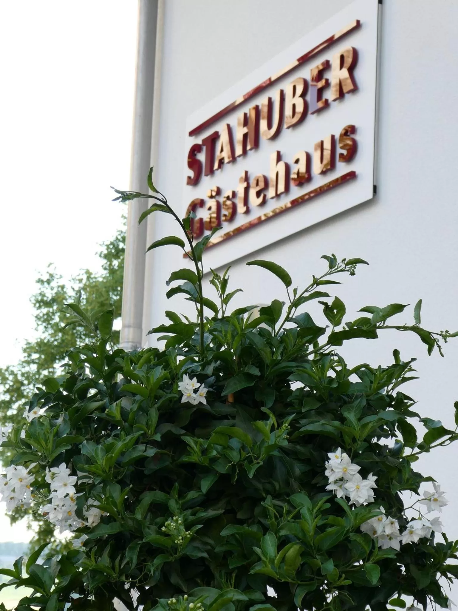 Property logo or sign in Gästehaus Stahuber