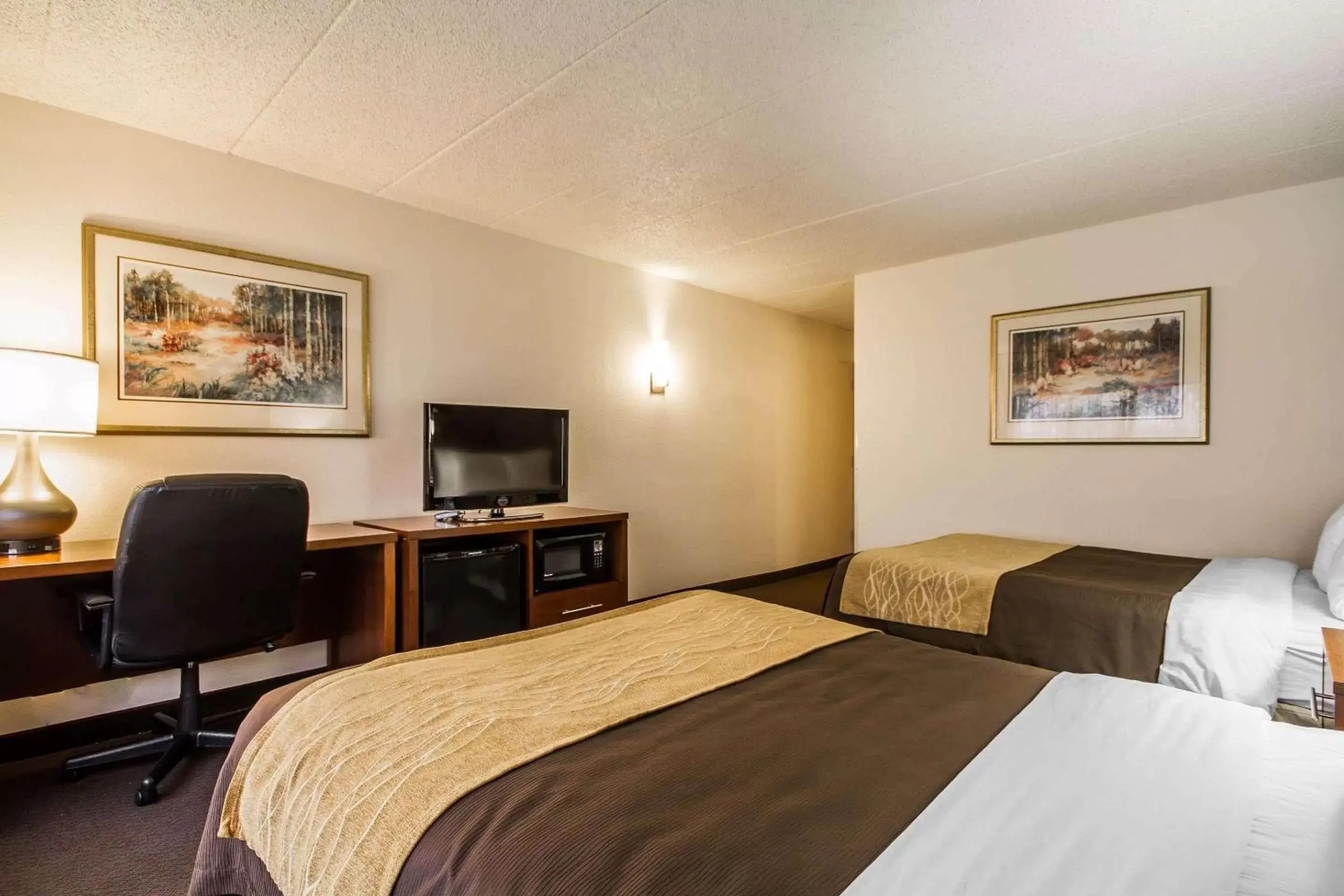 Photo of the whole room, Bed in Comfort Inn & Suites Madison - Airport