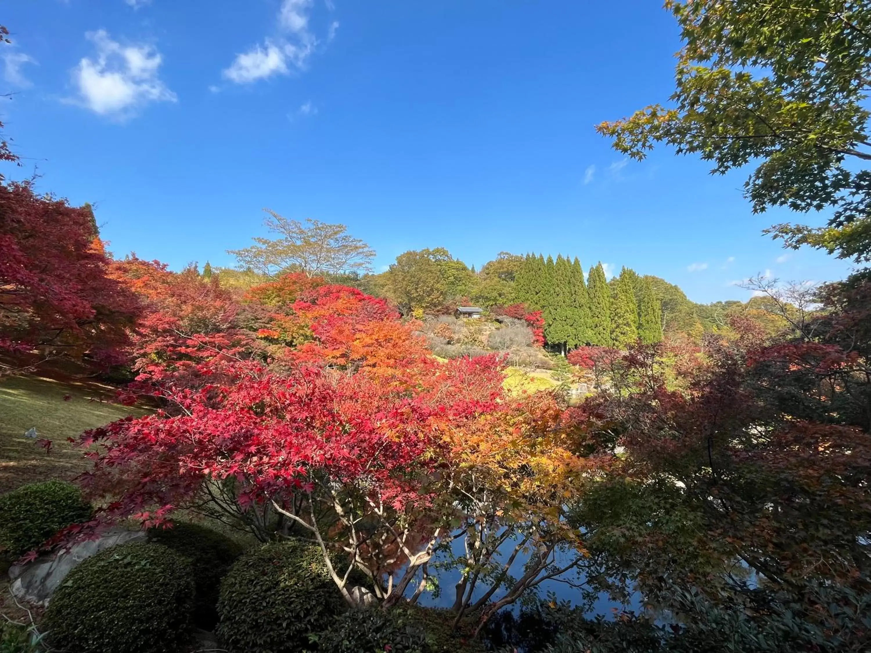 Nearby landmark in Daiwa Roynet Hotel Hiroshima