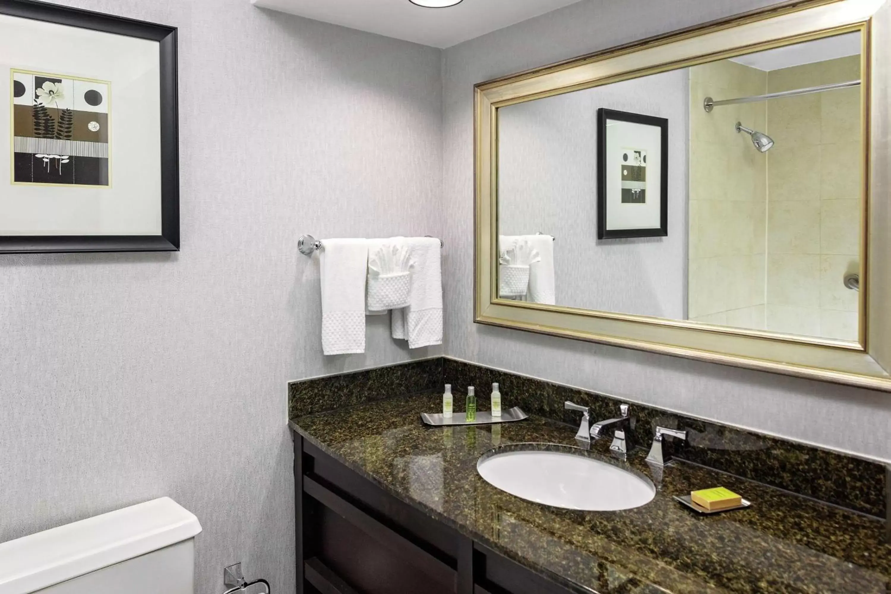 Bathroom in DoubleTree by Hilton Hotel & Executive Meeting Center Omaha-Downtown