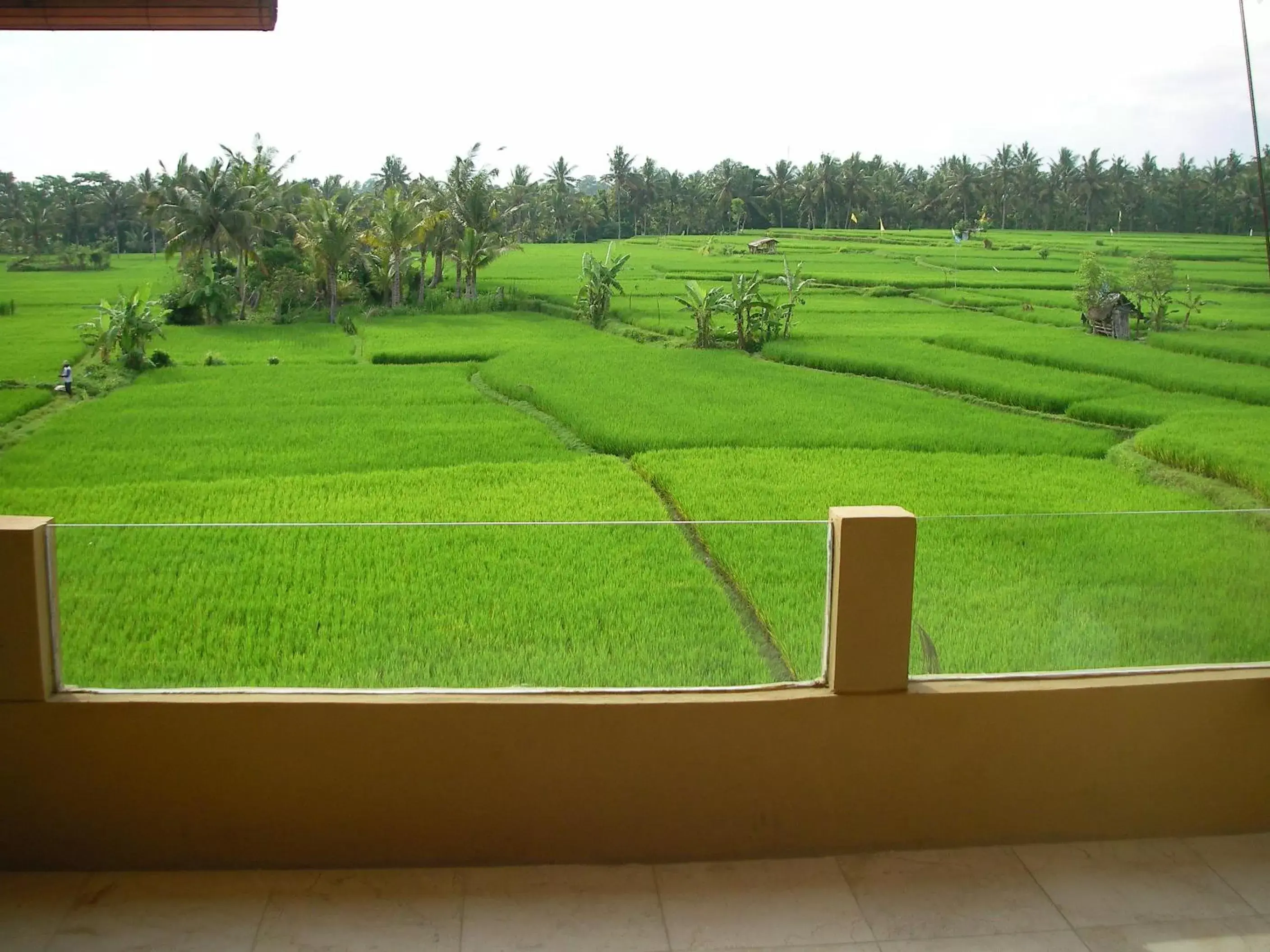 Bird's eye view in Green Field Hotel and Restaurant