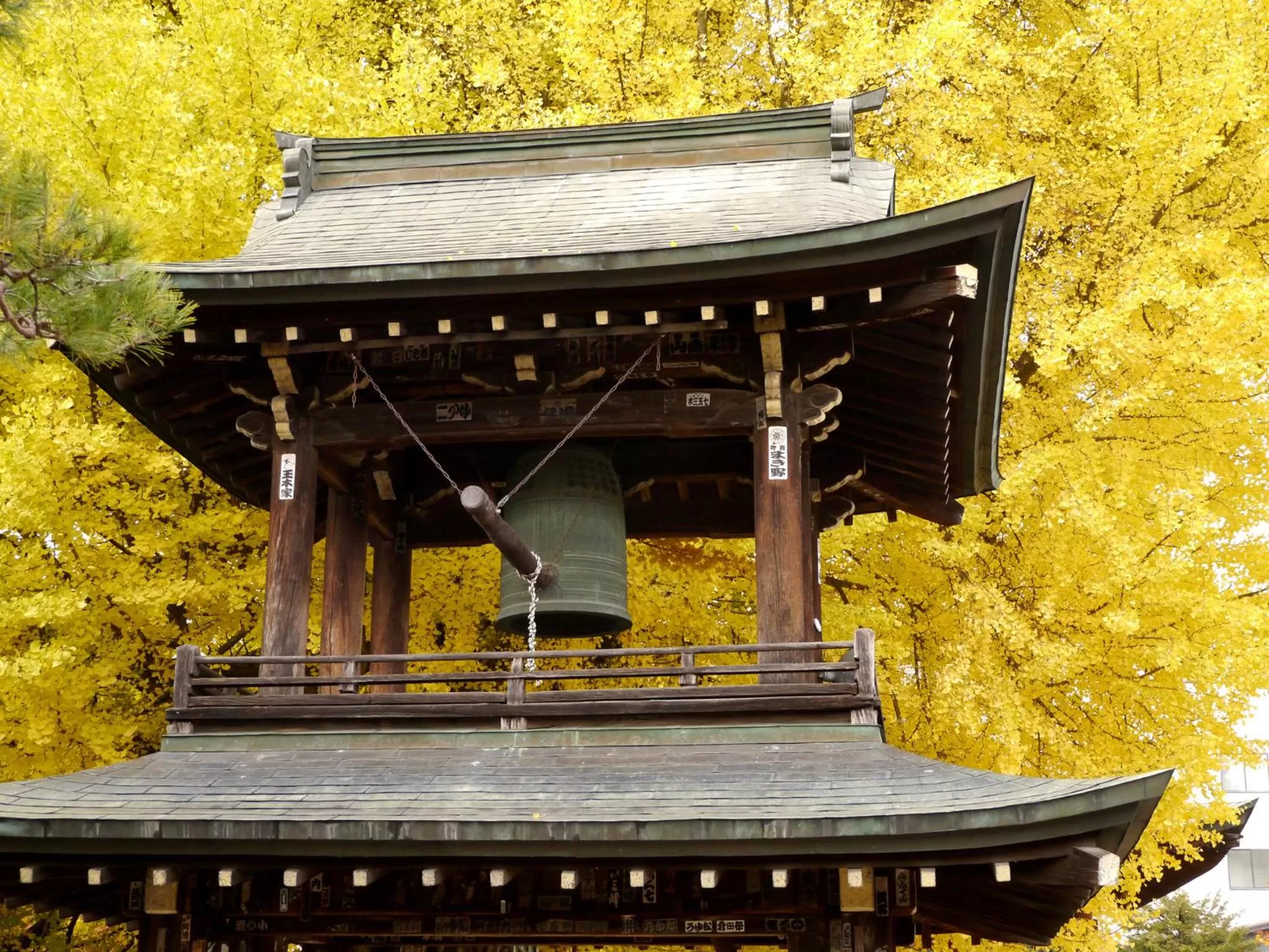 Other in Spa Hotel Alpina Hida Takayama