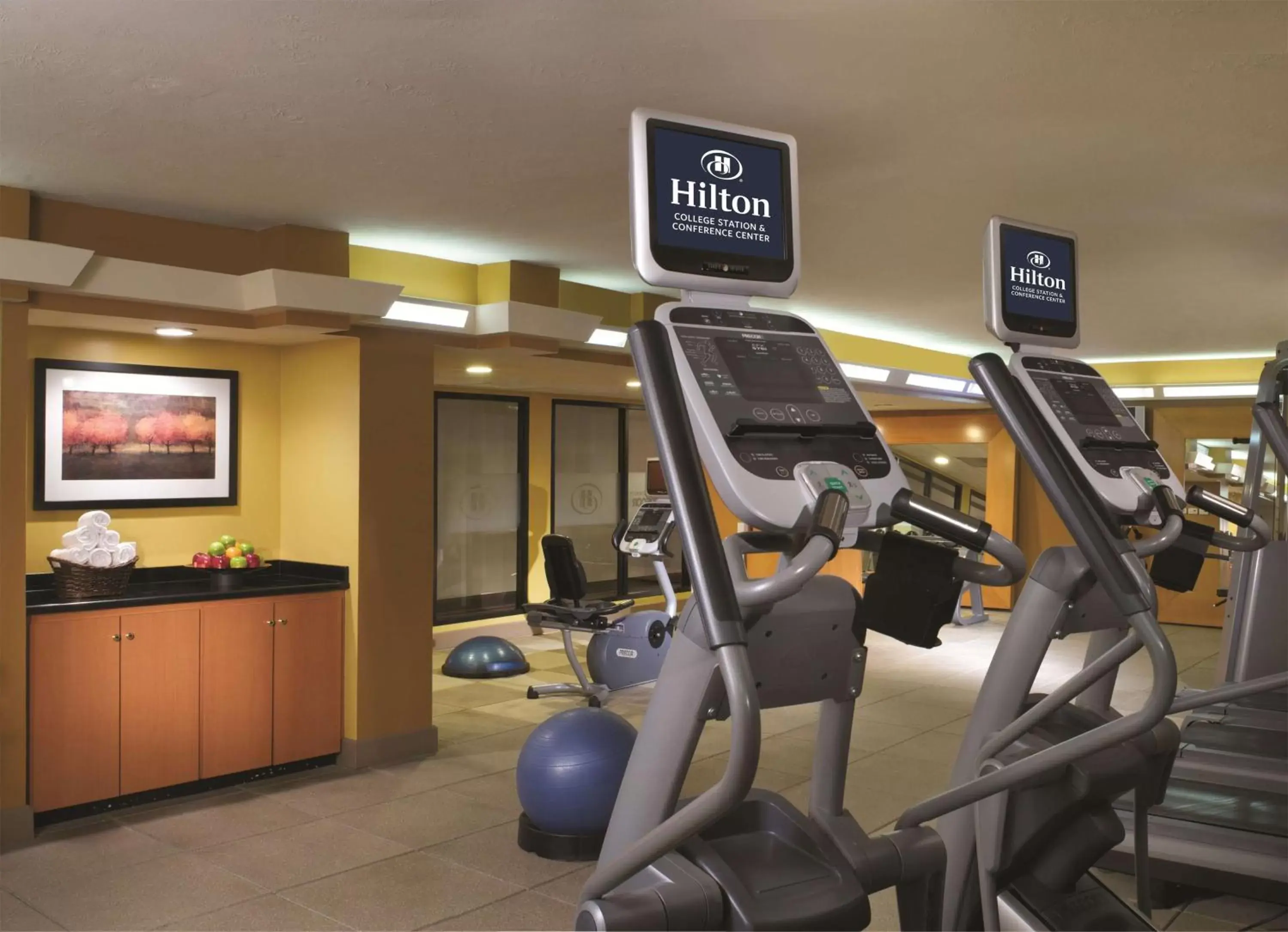 Fitness centre/facilities, Fitness Center/Facilities in Hilton College Station & Conference Center