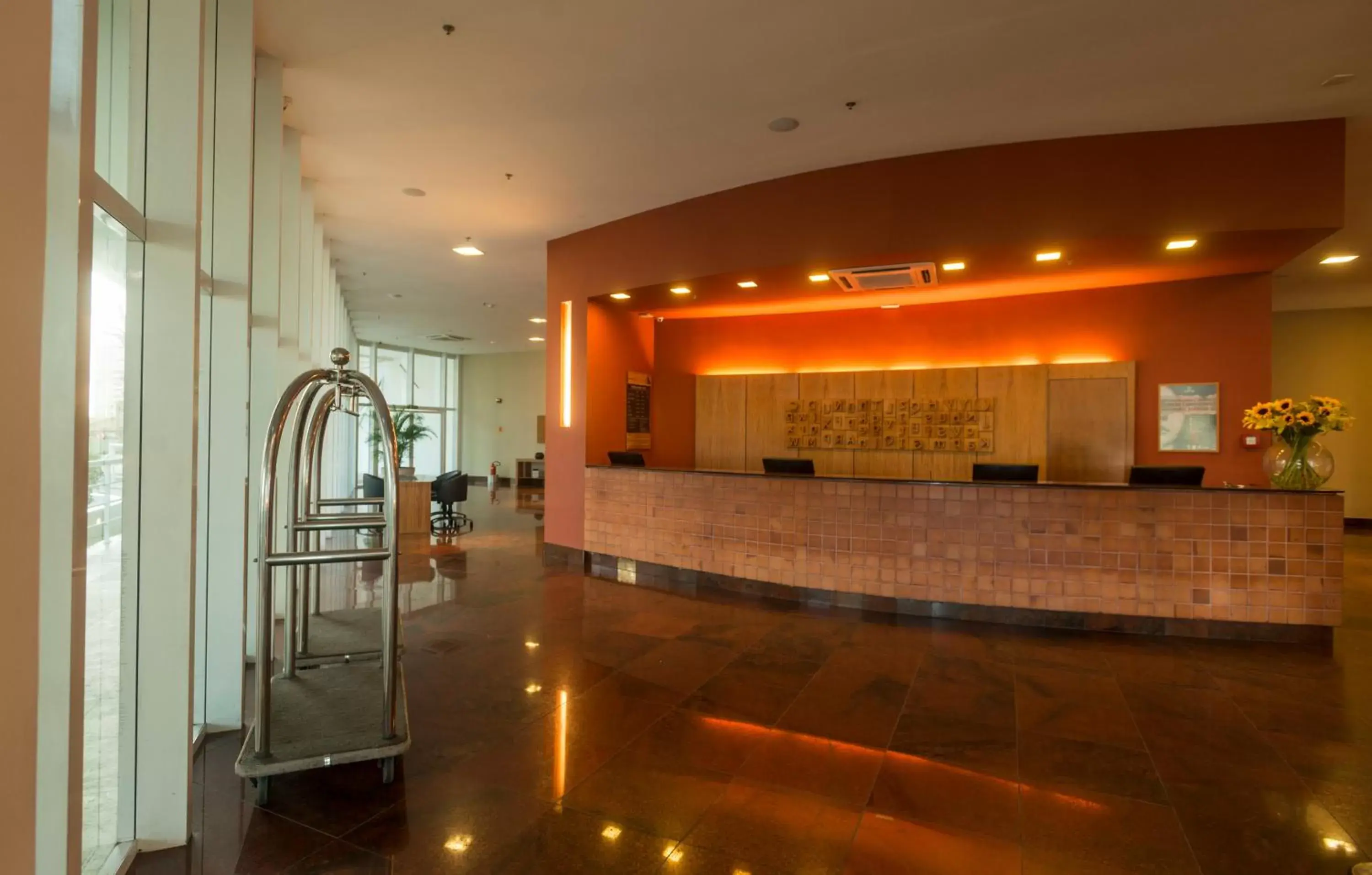 Area and facilities, Lobby/Reception in Hotel Luzeiros São Luis