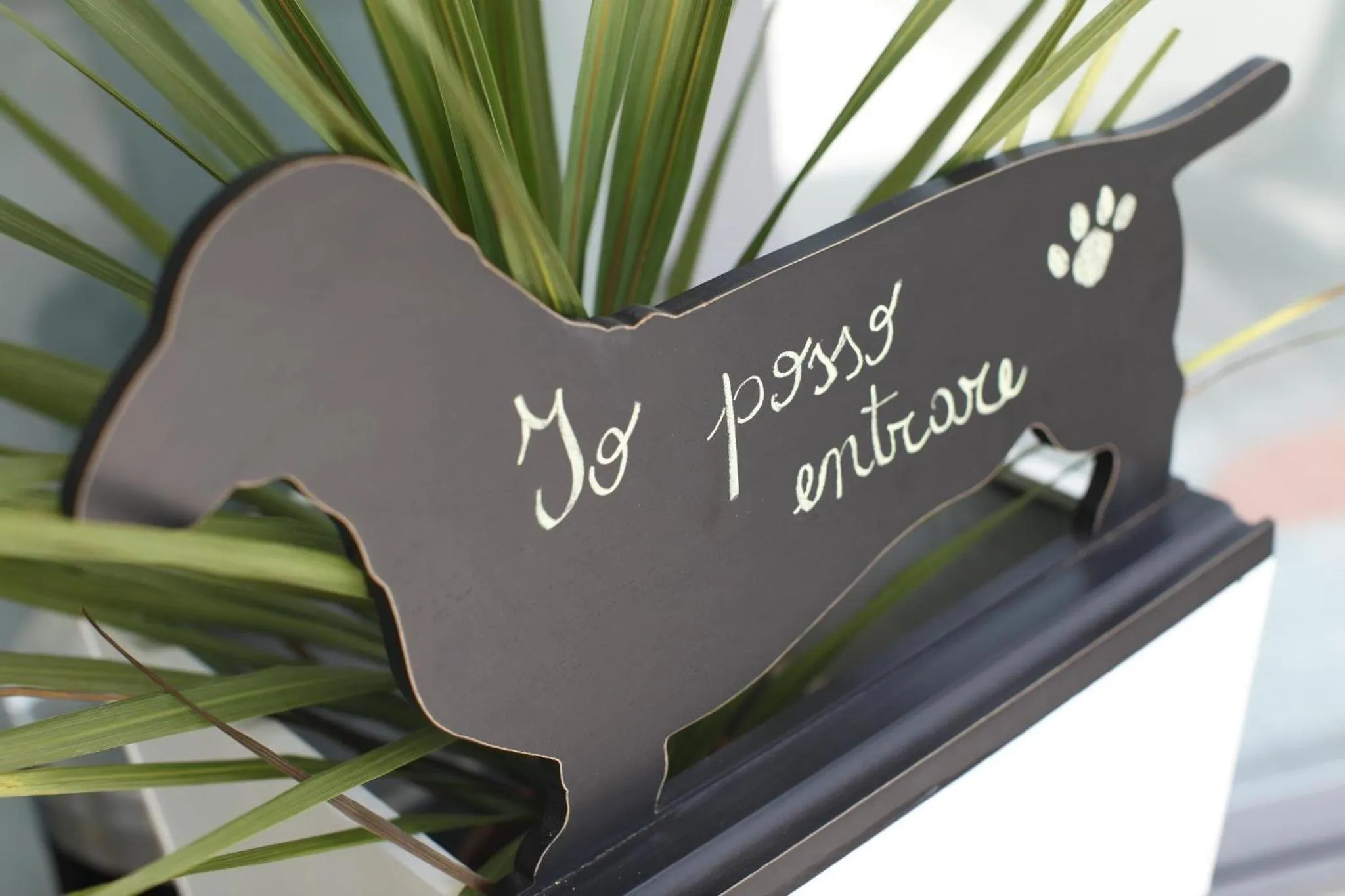 Property logo or sign in Hotel Principe SNC di Paloschi Valentina e Giulia