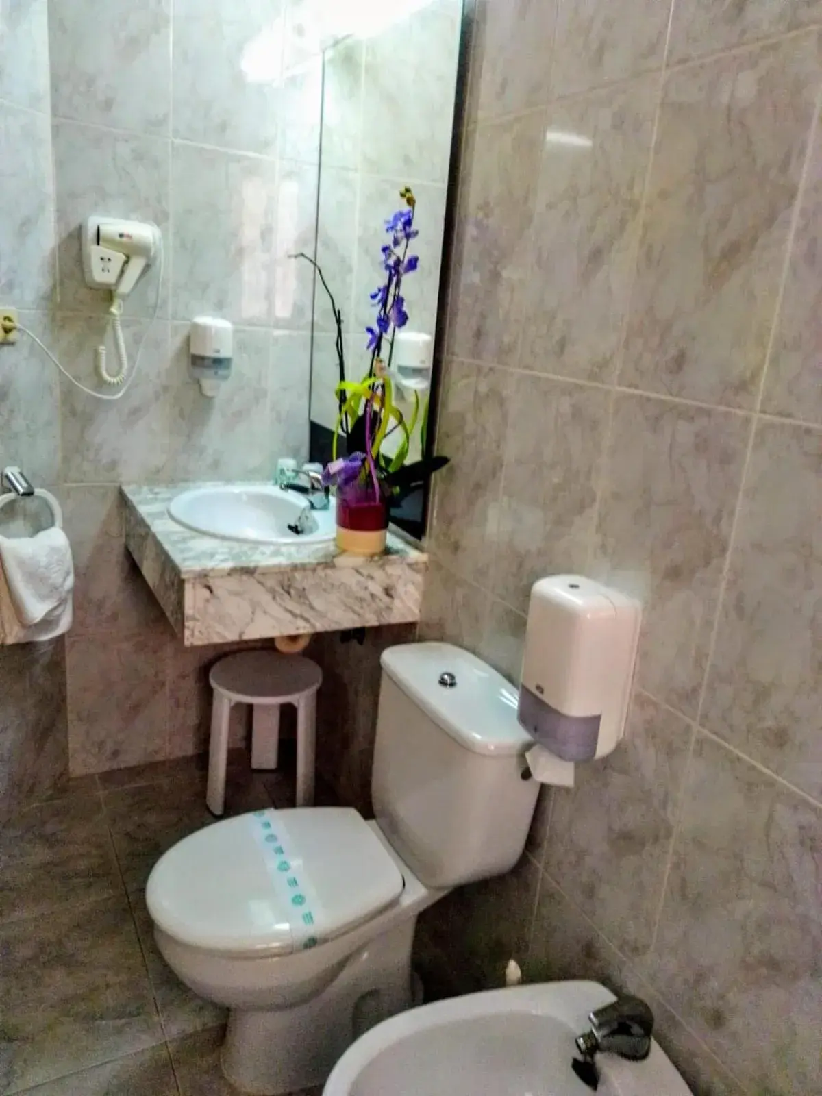 Bathroom in Felipe II