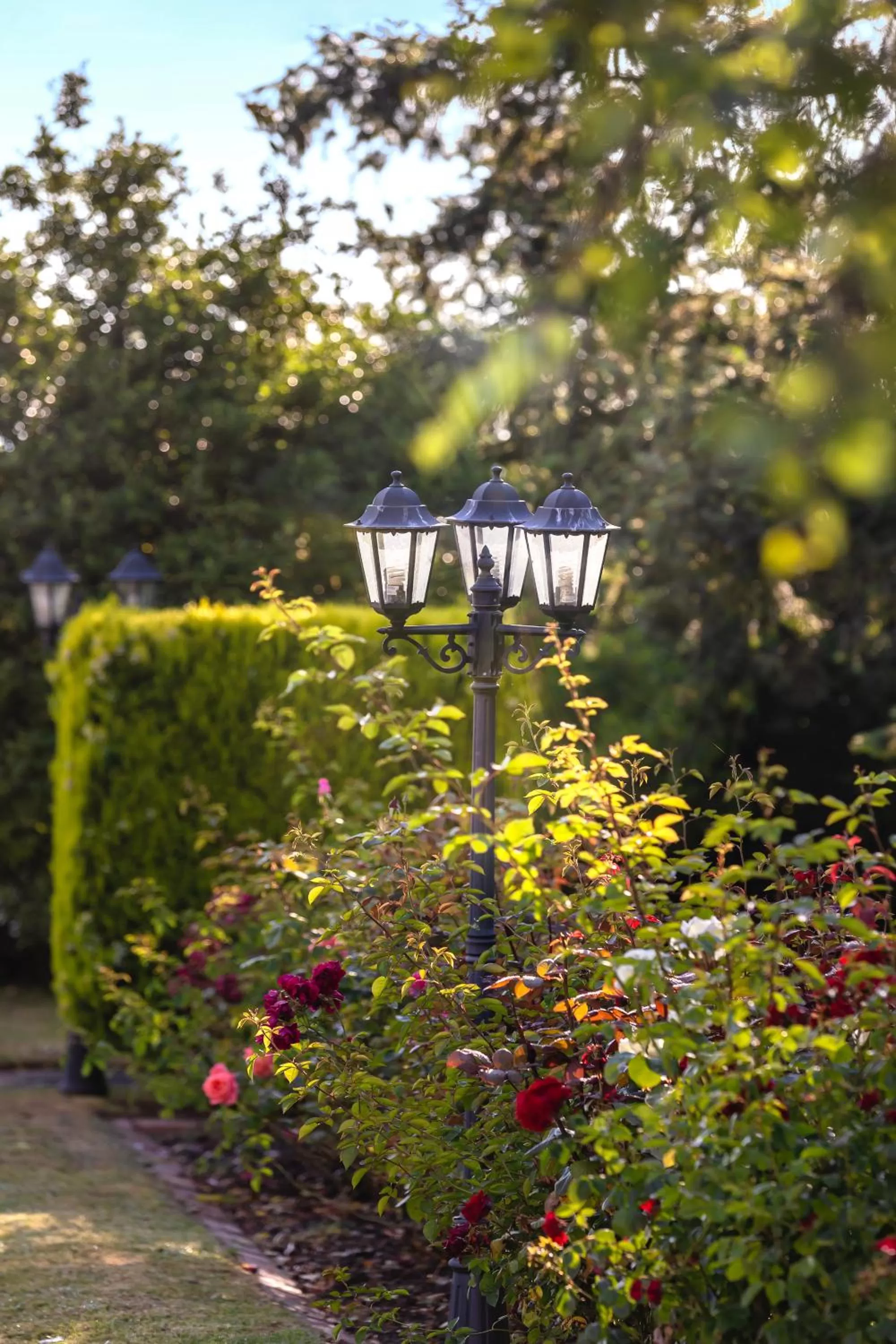 Garden in Club Wyndham Ballarat, Trademark Collection by Wyndham