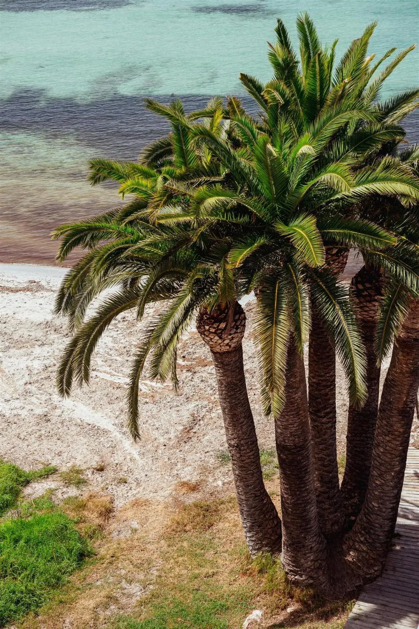 Natural landscape, Beach in Hotel Simbad Ibiza & Spa