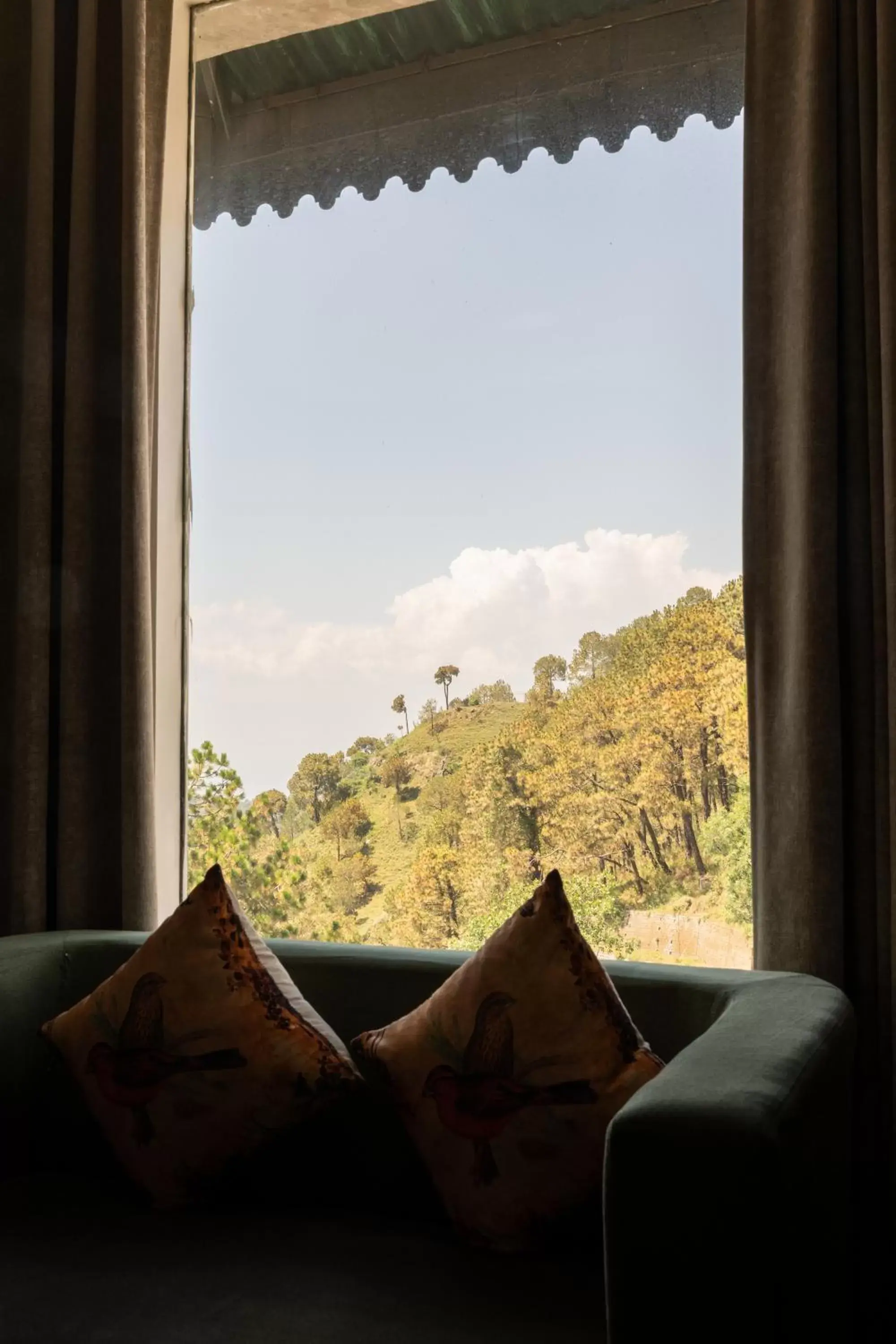 Mountain View in Hotel Kasauli Regency Stags Not Allowed