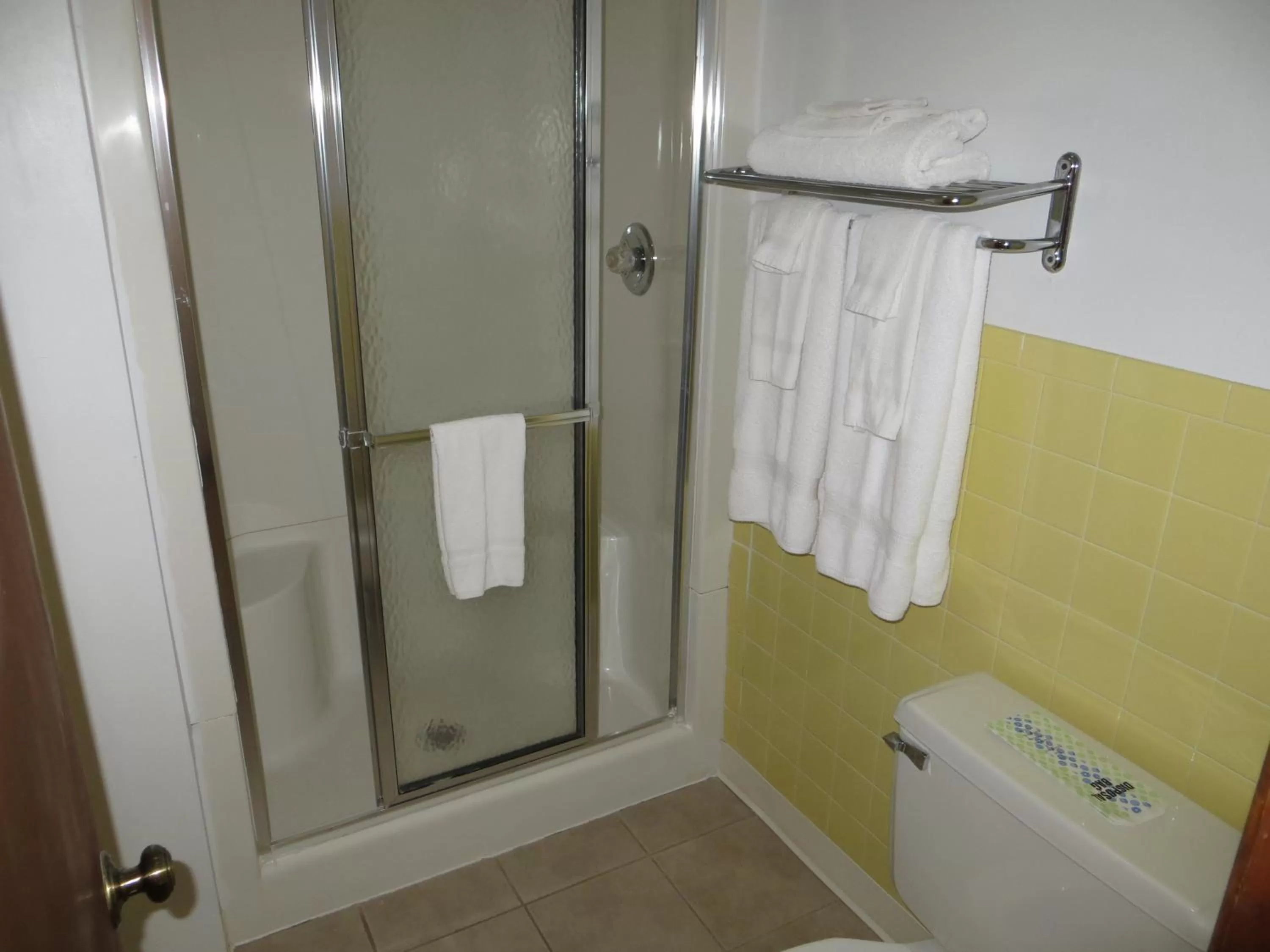 Toilet in Green Valley Motor Lodge