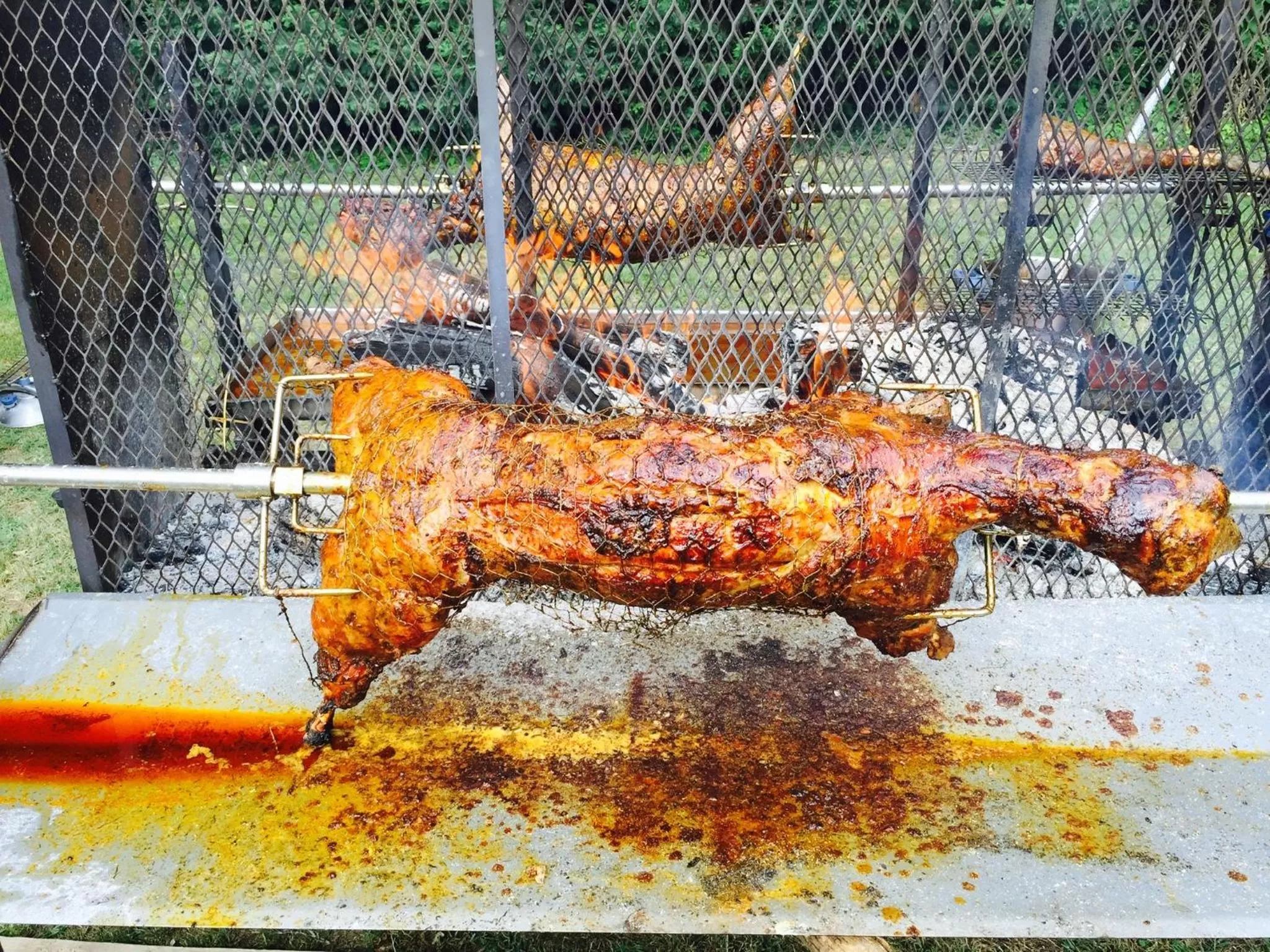 BBQ facilities, Other Animals in La Rochelle et l'Aunis