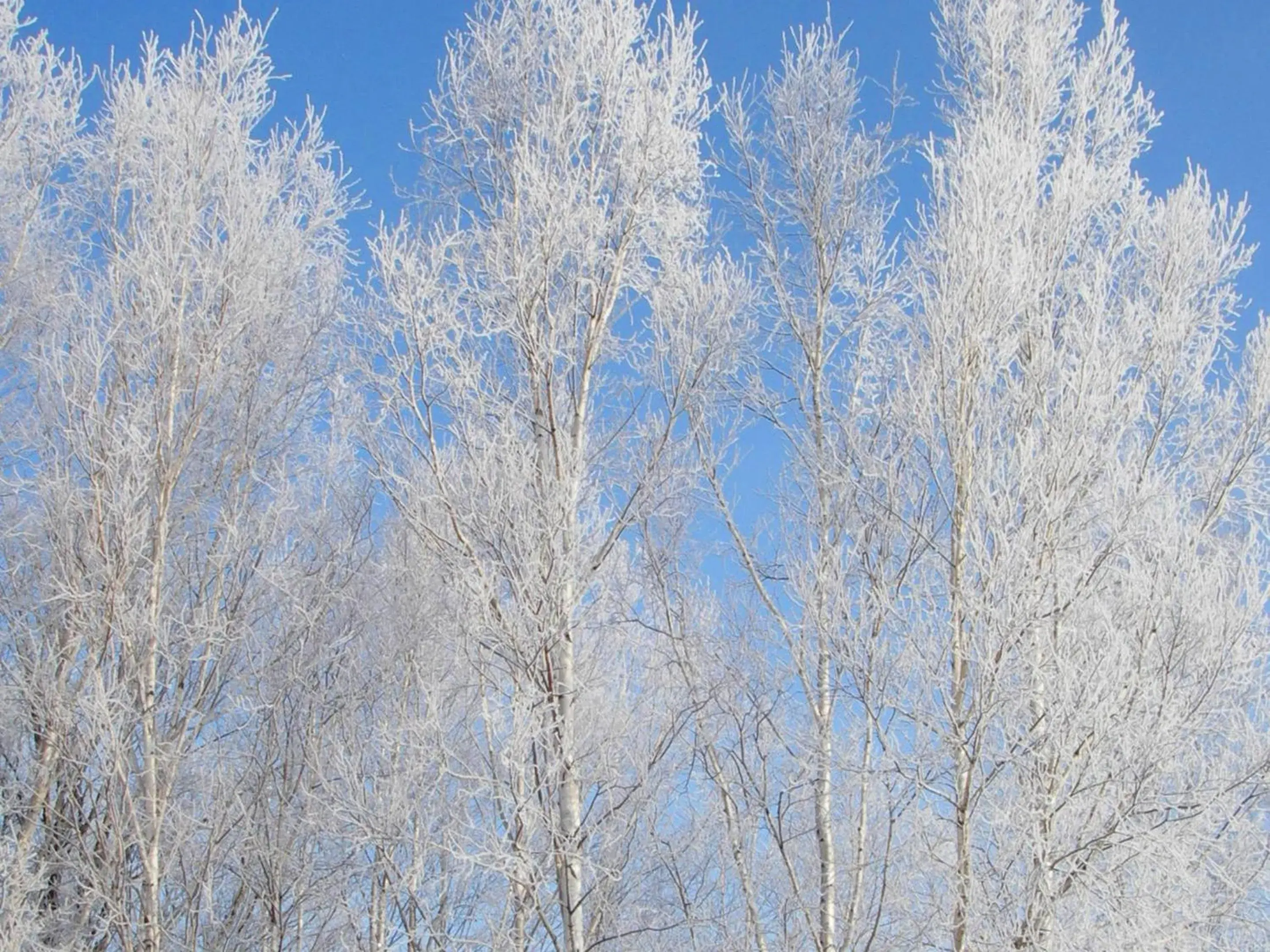 Nearby landmark, Winter in Pension Hoshi Ni Negaiwo