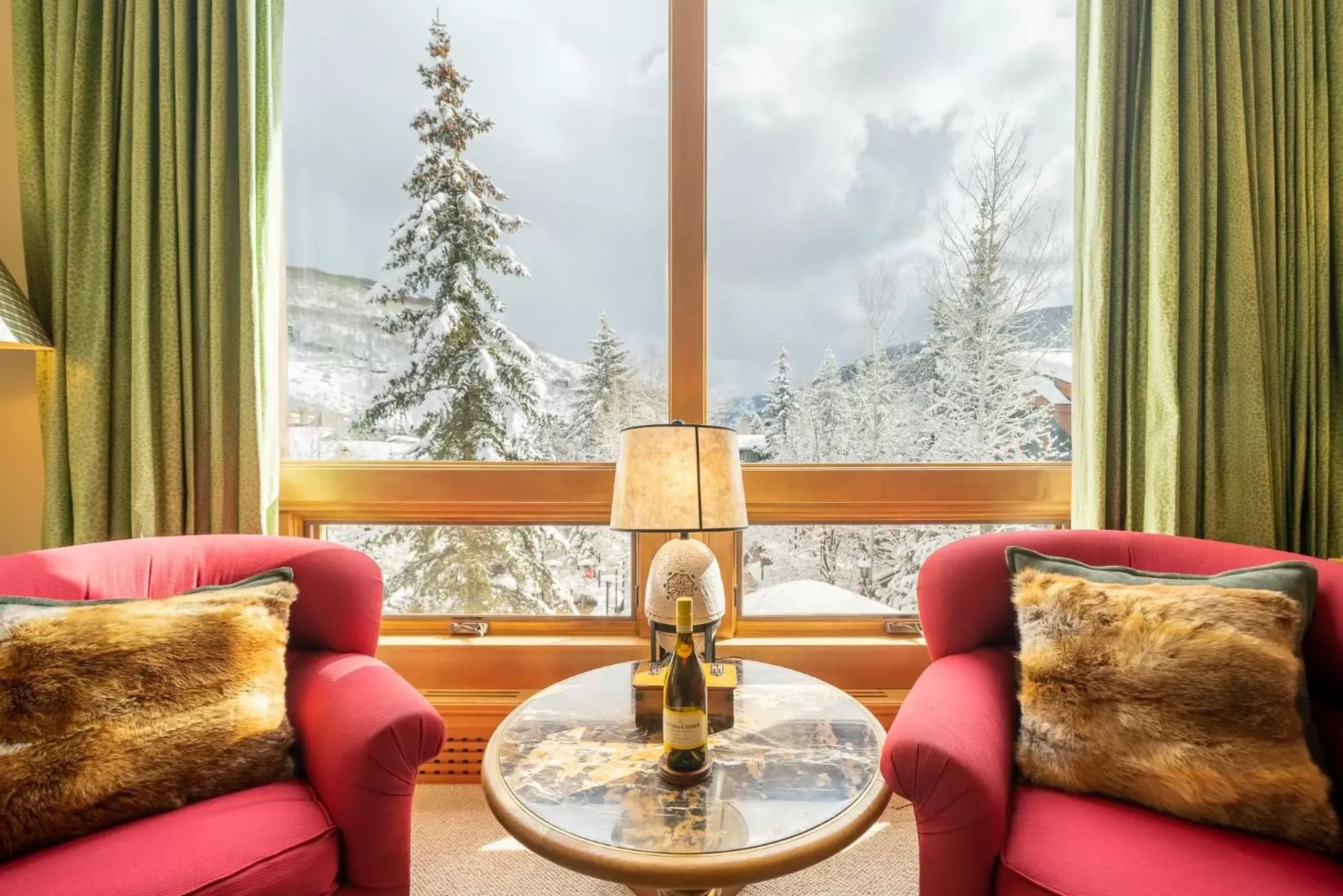 Natural landscape, Seating Area in Lodge at Vail Condominiums