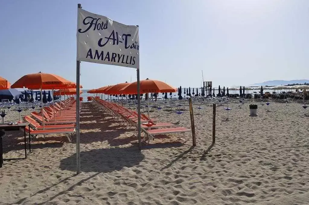 Nearby landmark, Beach in Al-Tair