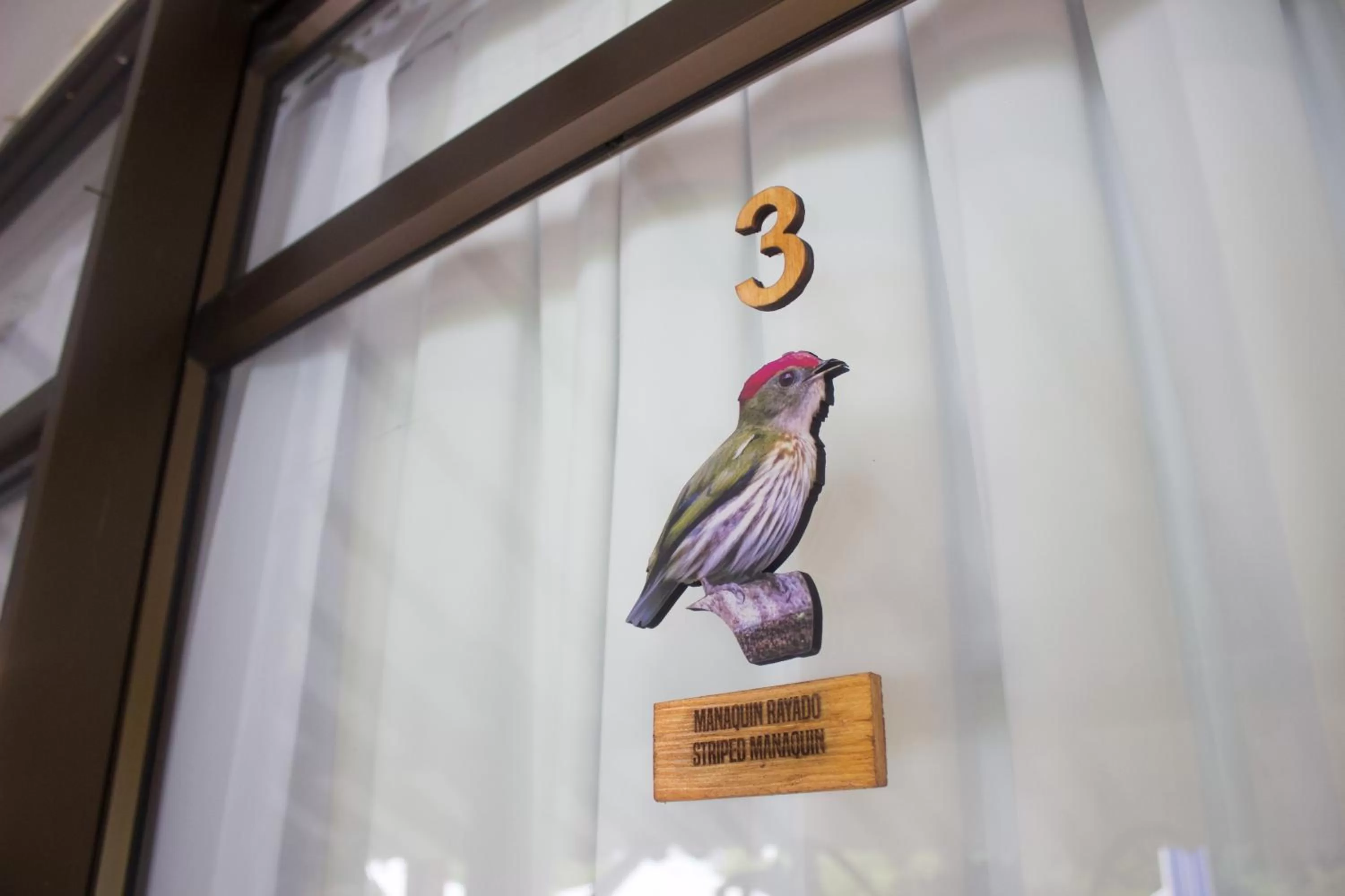 Decorative detail in Cotinga Hotel Spa