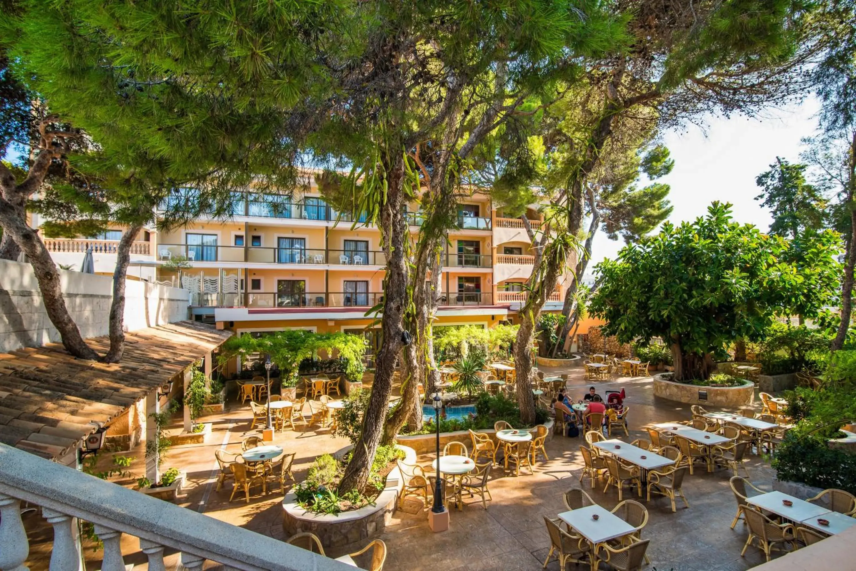 Patio in Hotel Baviera