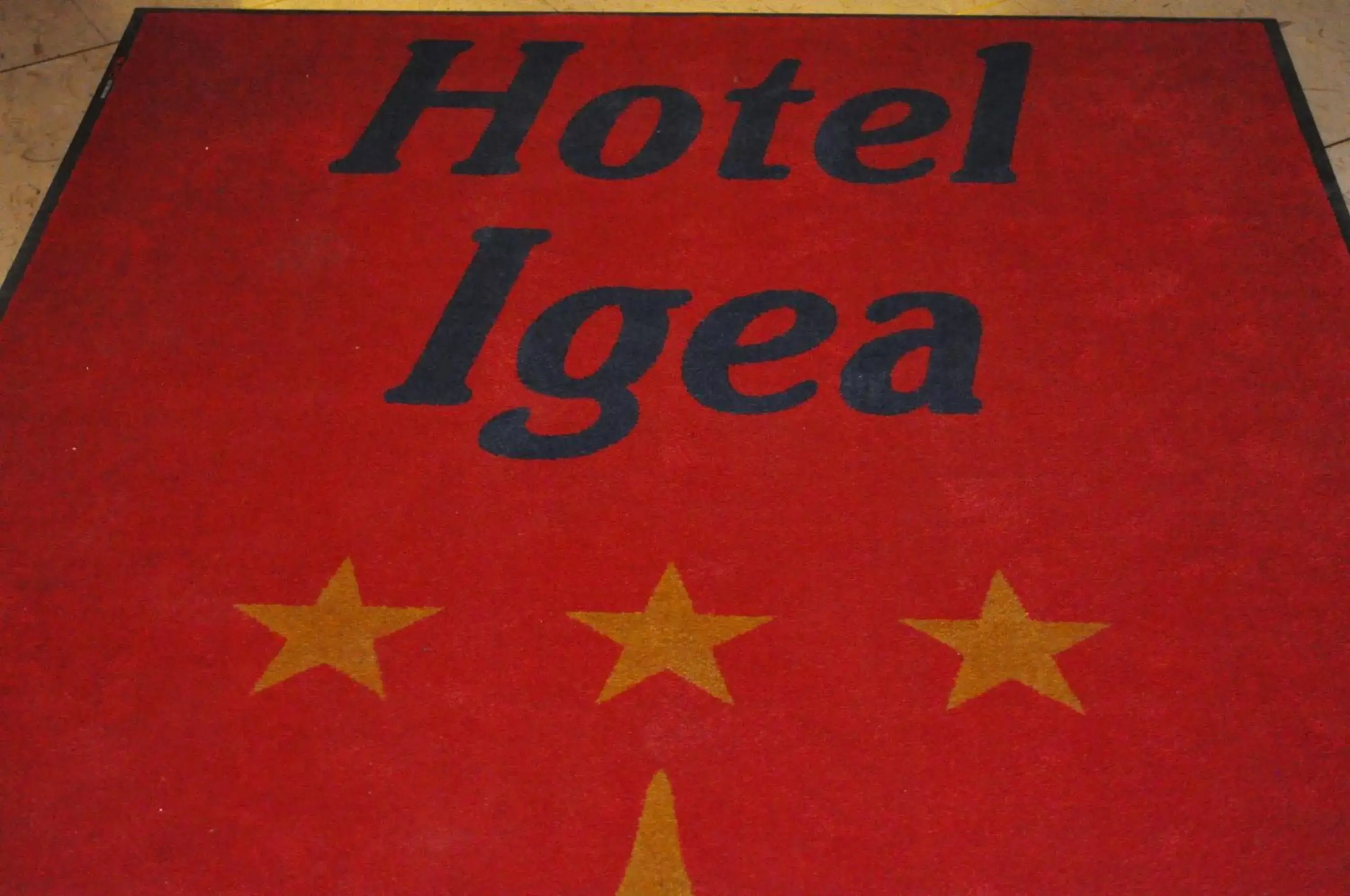 Property logo or sign in Hotel Igea