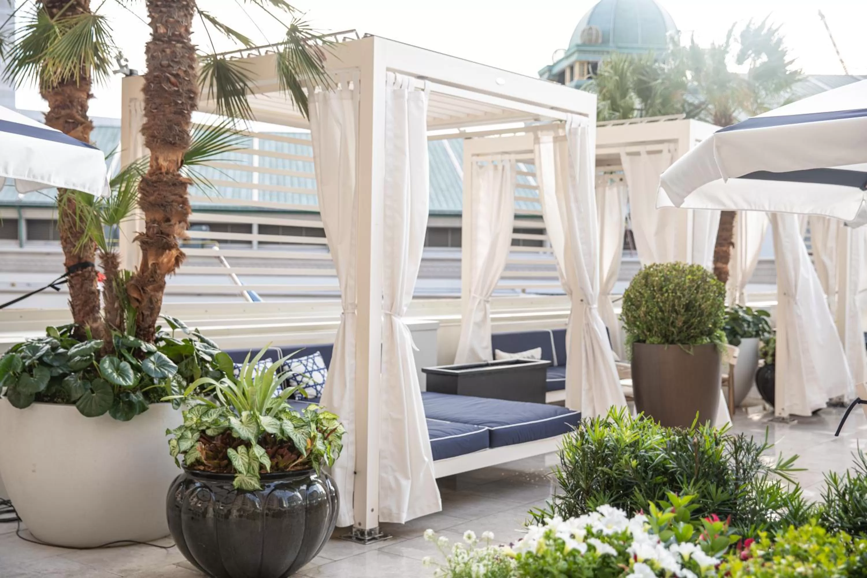 Swimming pool in The Windsor Court