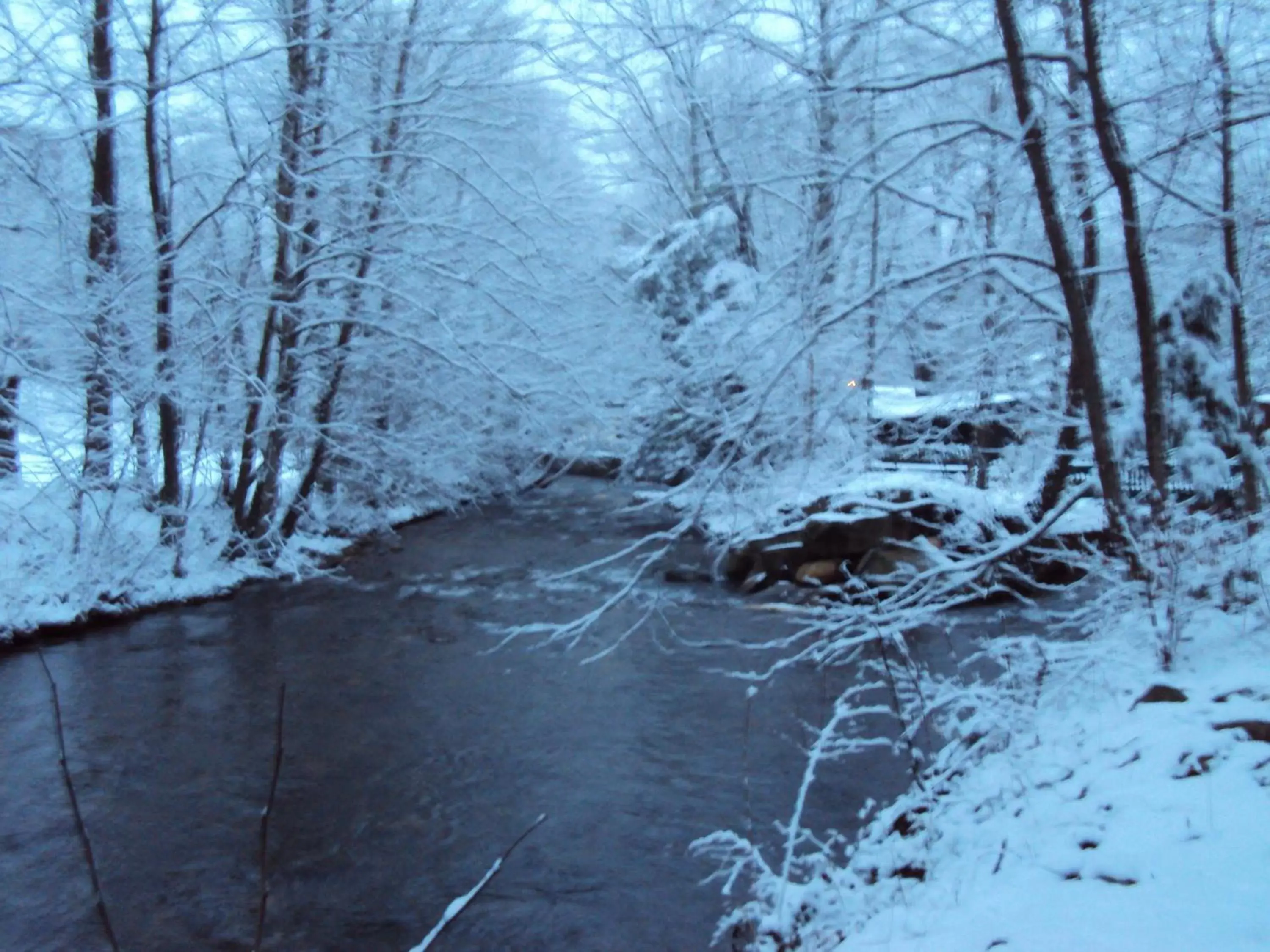 Winter in Five Star Inn - Maggie Valley