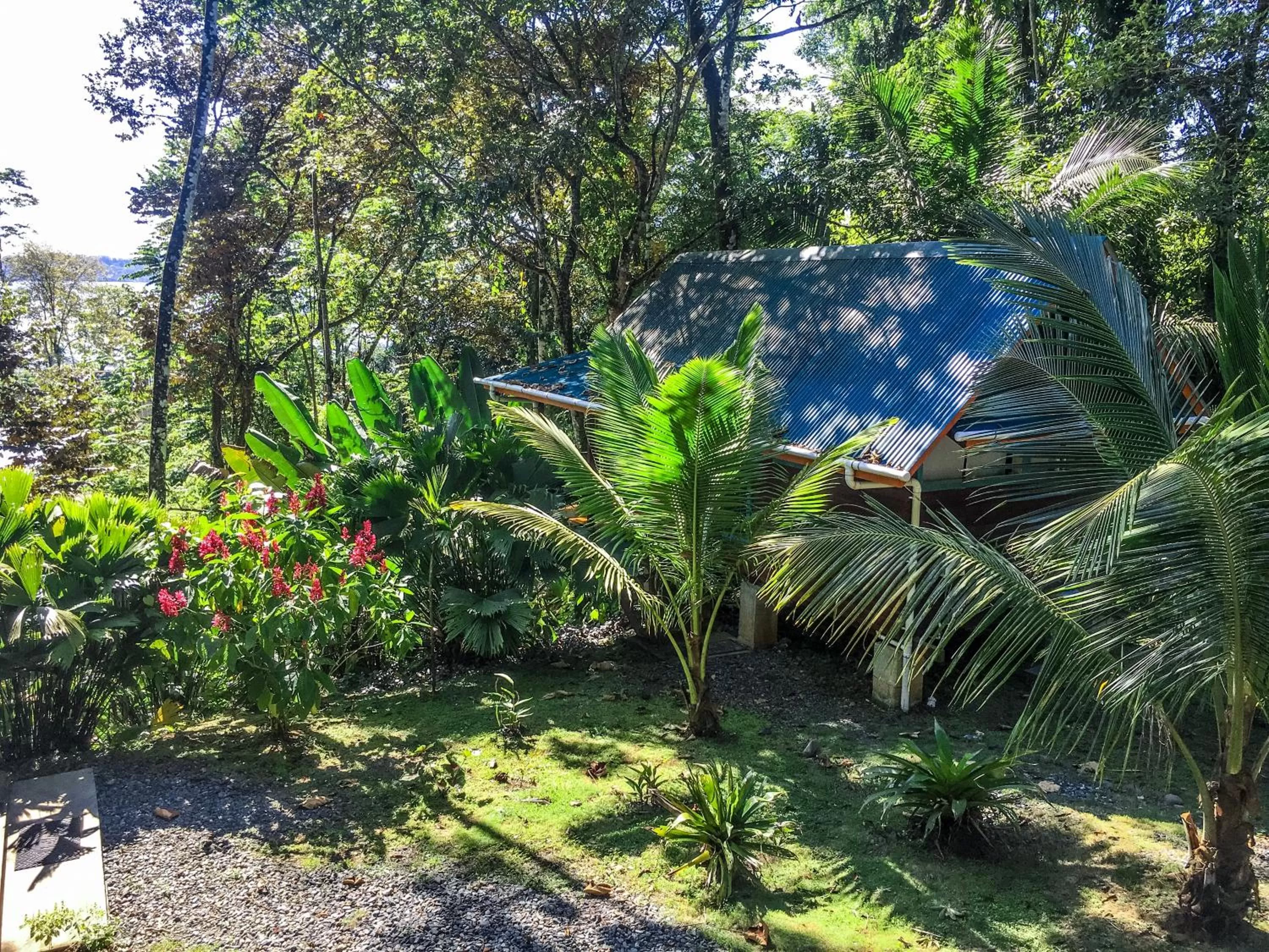 Bird's eye view in Surf Break at Paunch