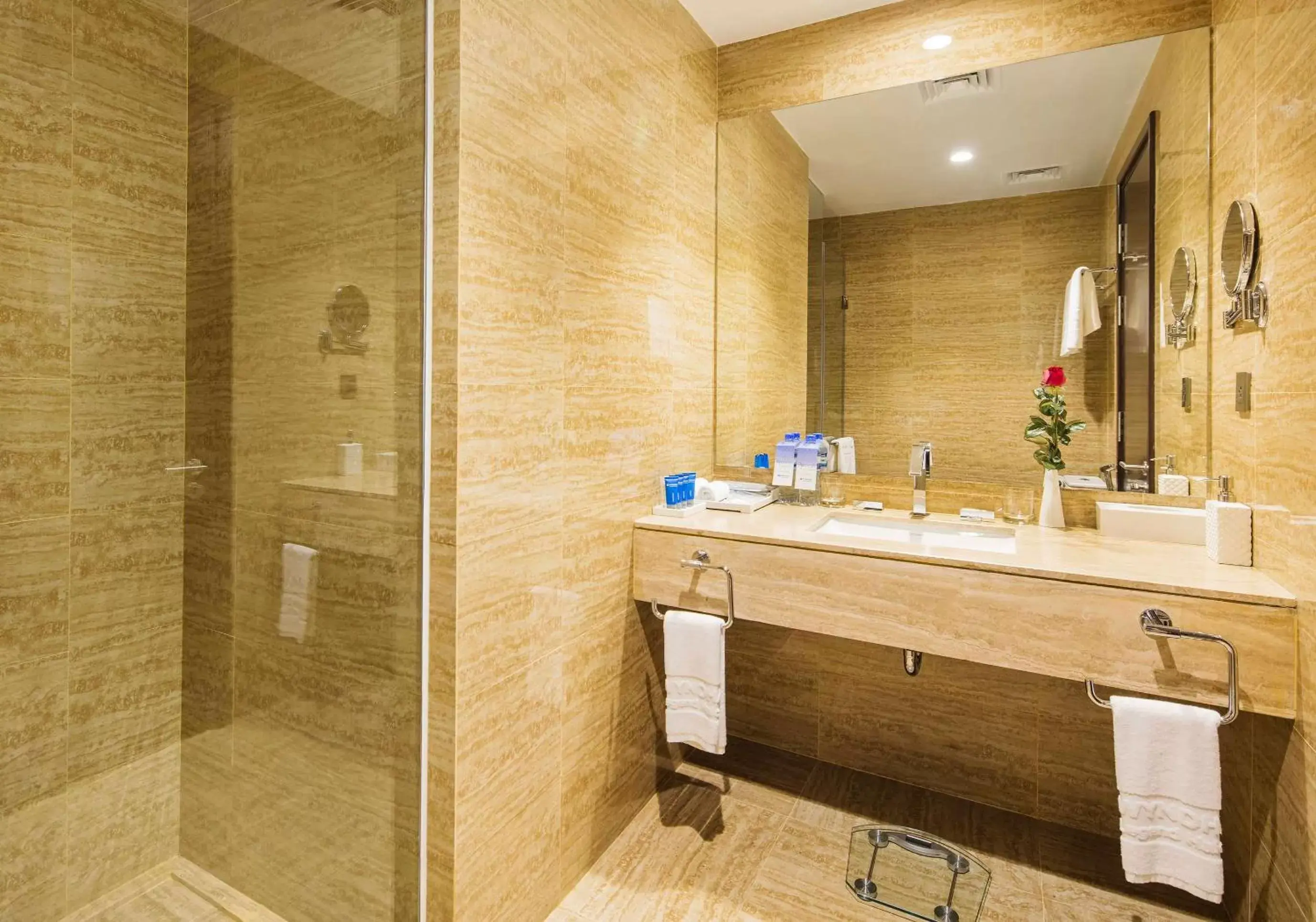 Photo of the whole room, Bathroom in Wyndham Legend Halong