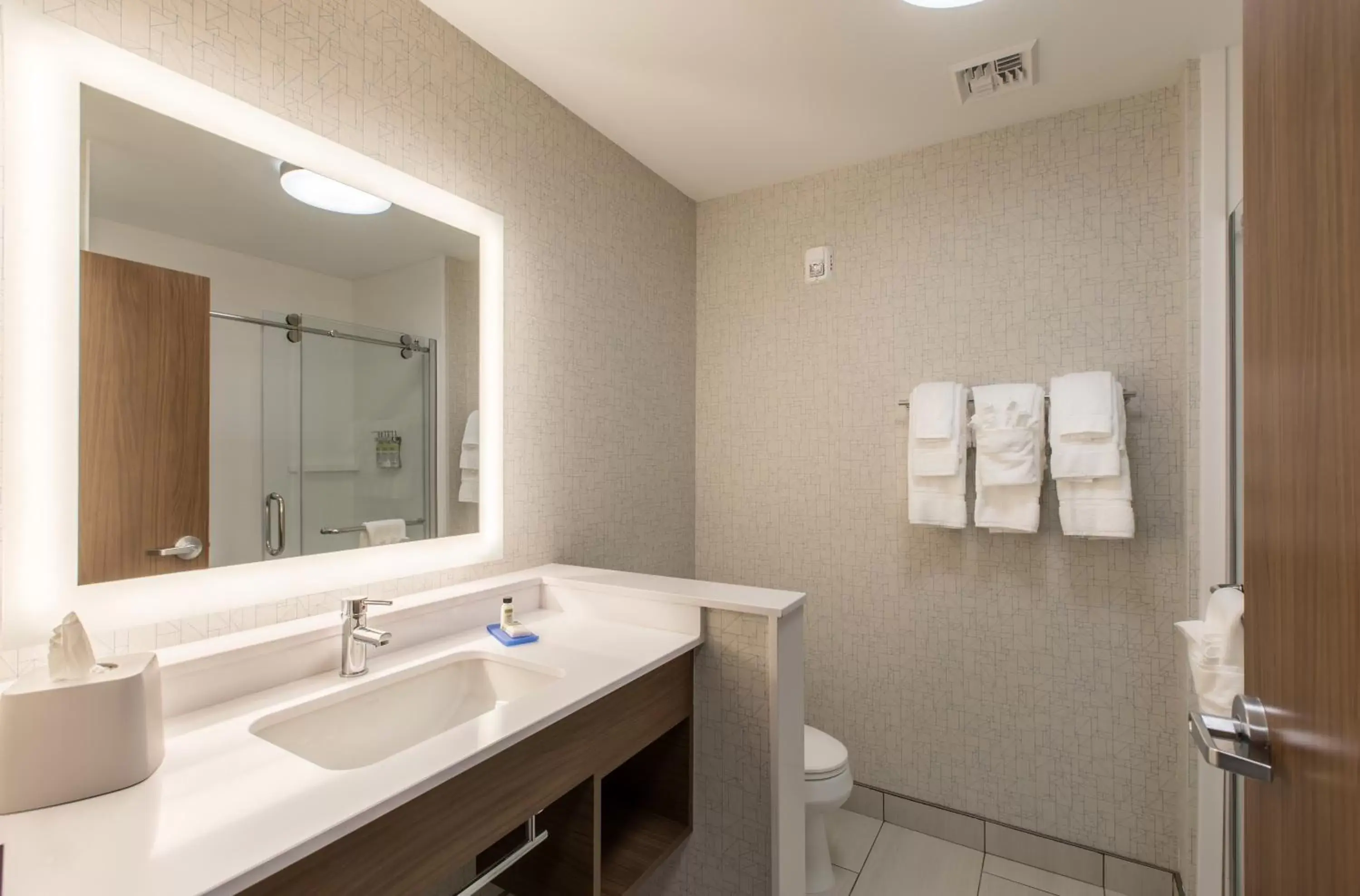 Bathroom in Holiday Inn Express & Suites Greenville S - Piedmont, an IHG Hotel