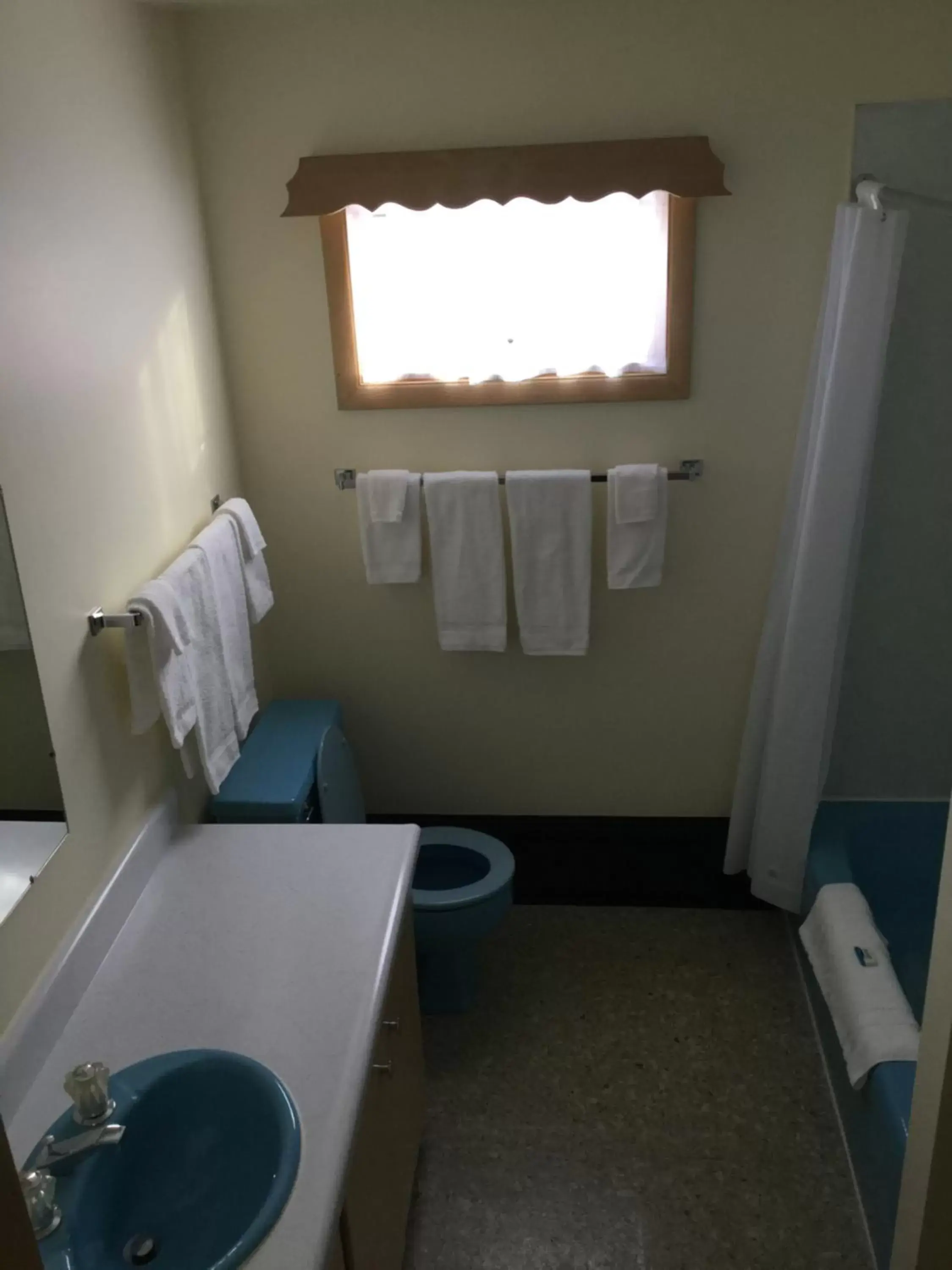 Bathroom in Cedars Motel