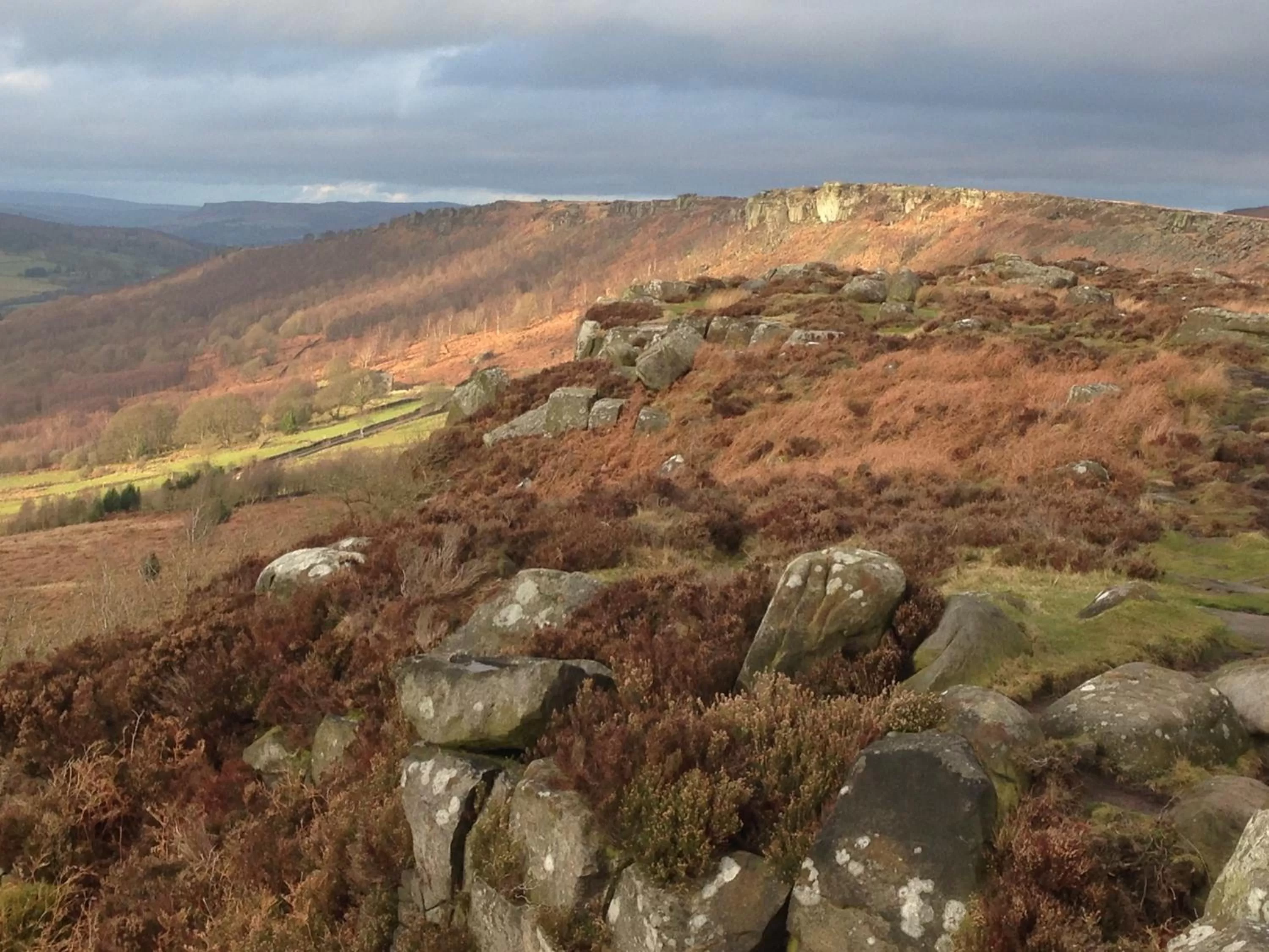 Natural landscape, Bird's-eye View in The Old Station House