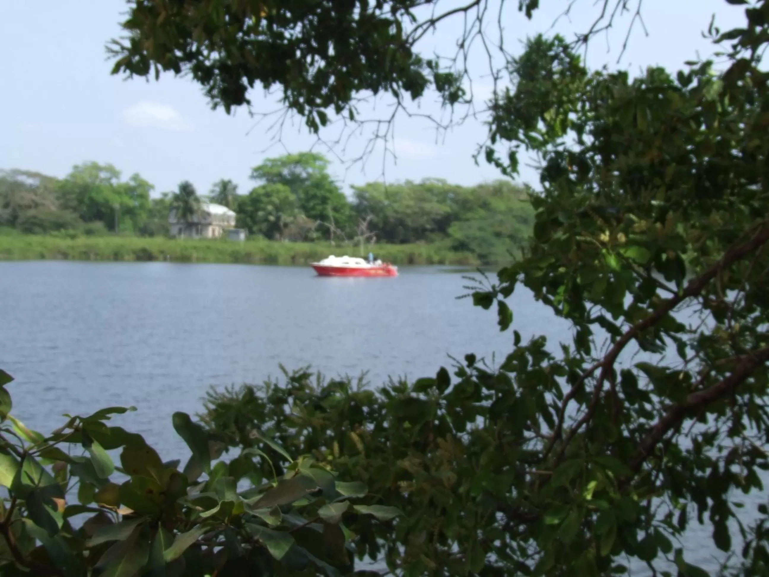 Natural landscape in Lamanai Hotel & Marina