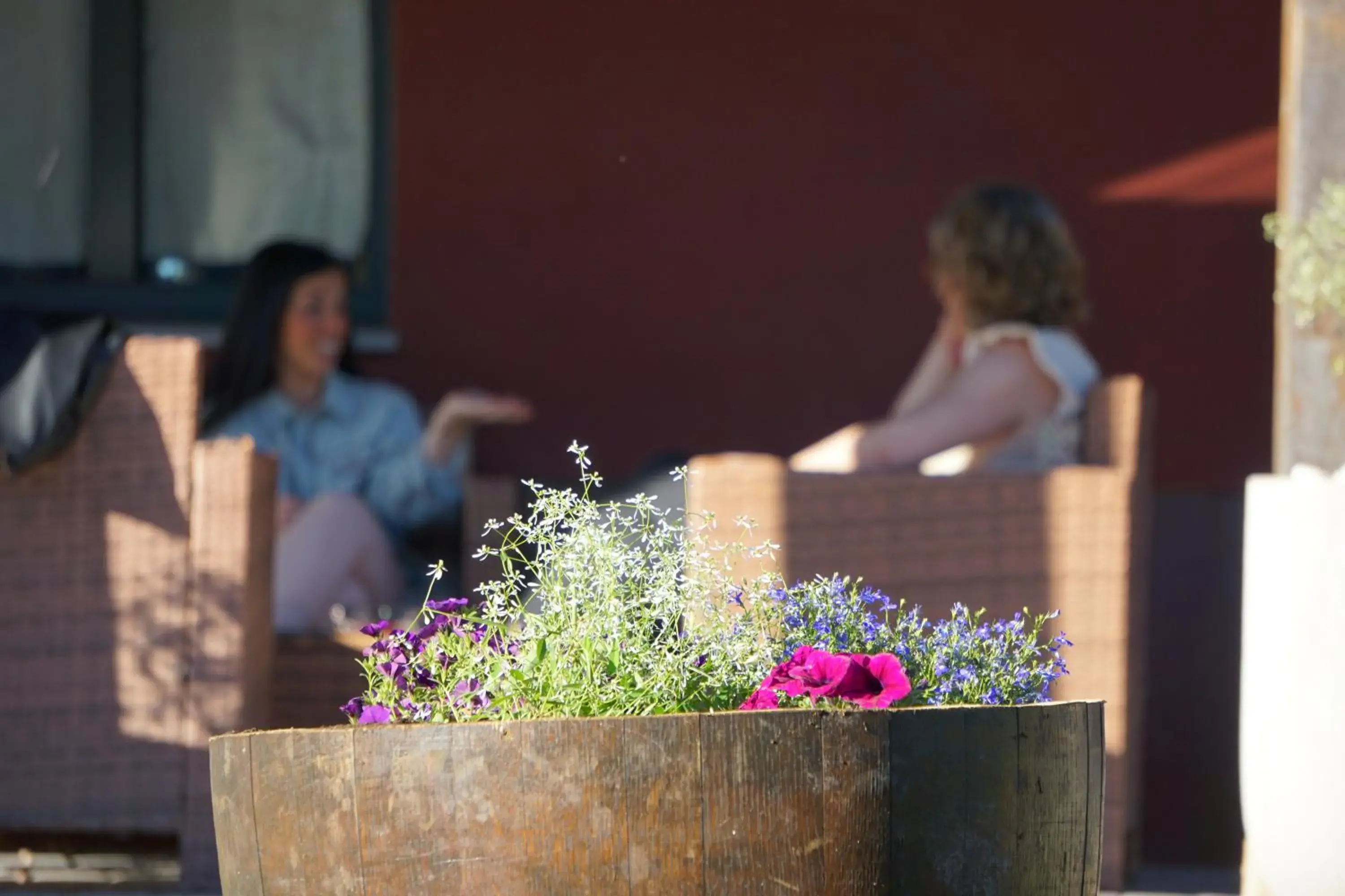 Garden in Hotel Rural Sagarlore