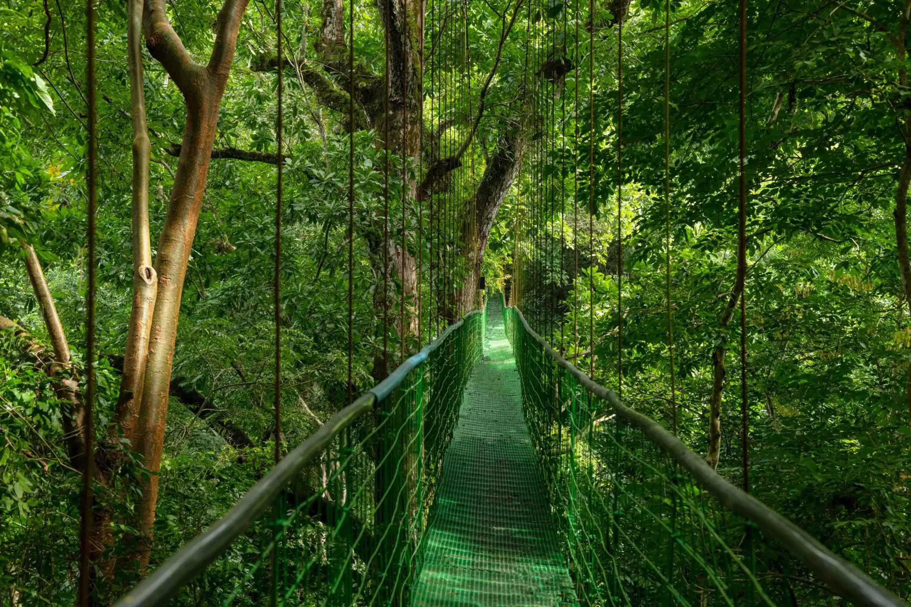 Activities in Villa Lapas Jungle Village