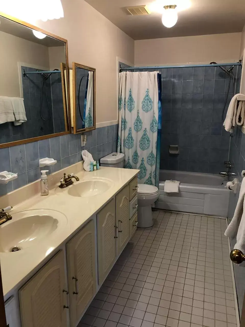 Shower, Bathroom in Hotel Wolfe Island