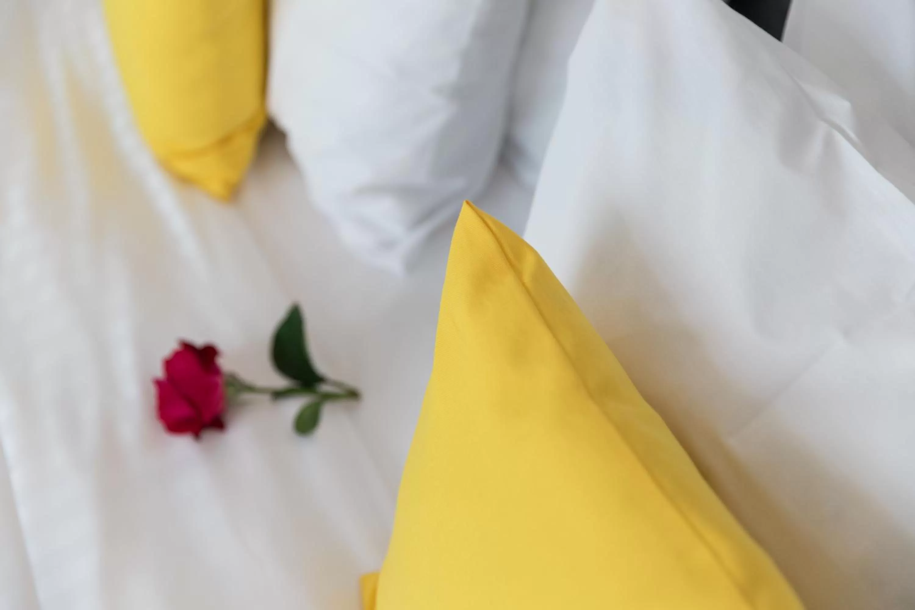 Bed in Avenue Palm Eforie - Avenue Hotels