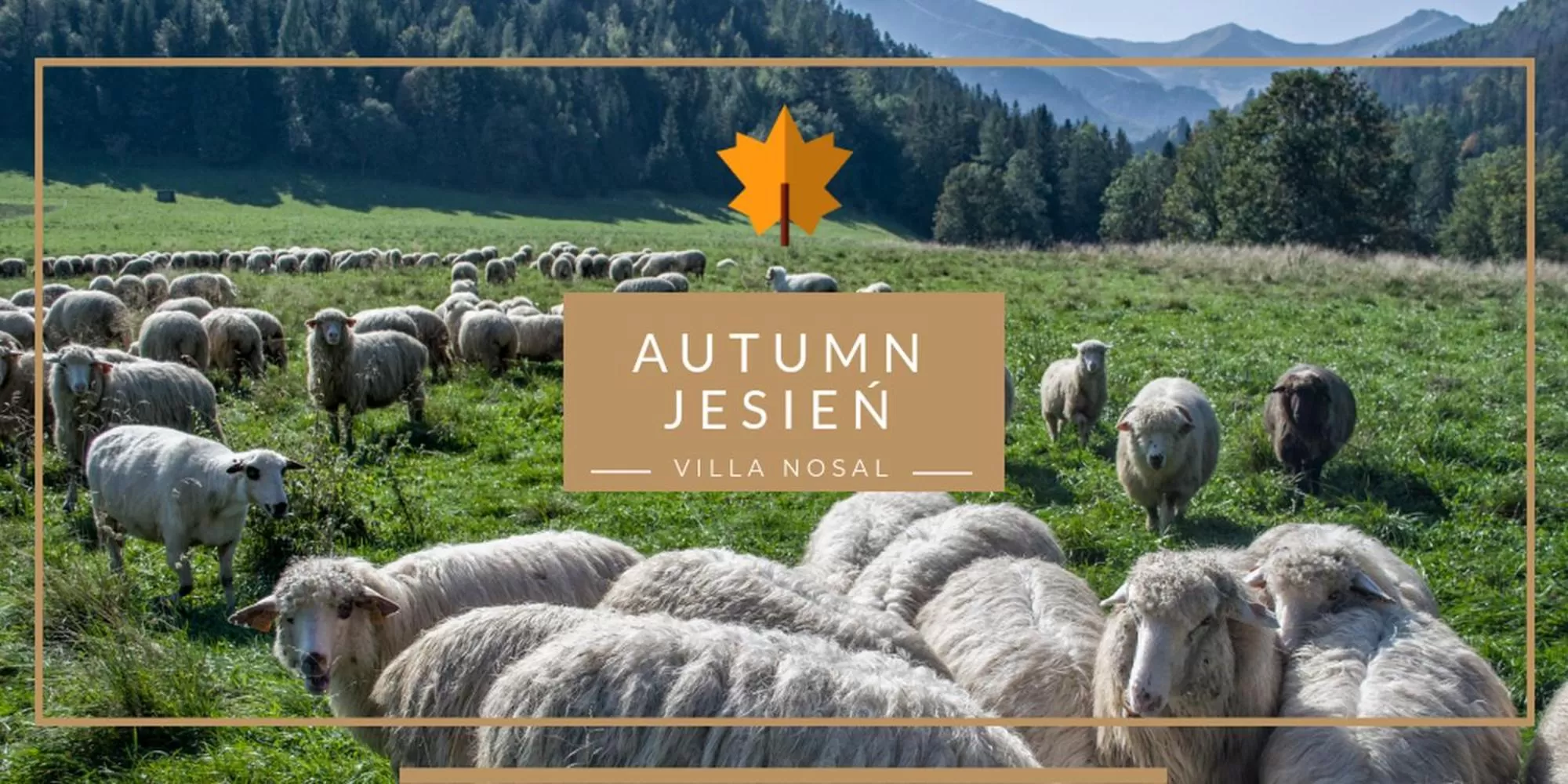 Animals in VILLA NOSAL - Zakopane