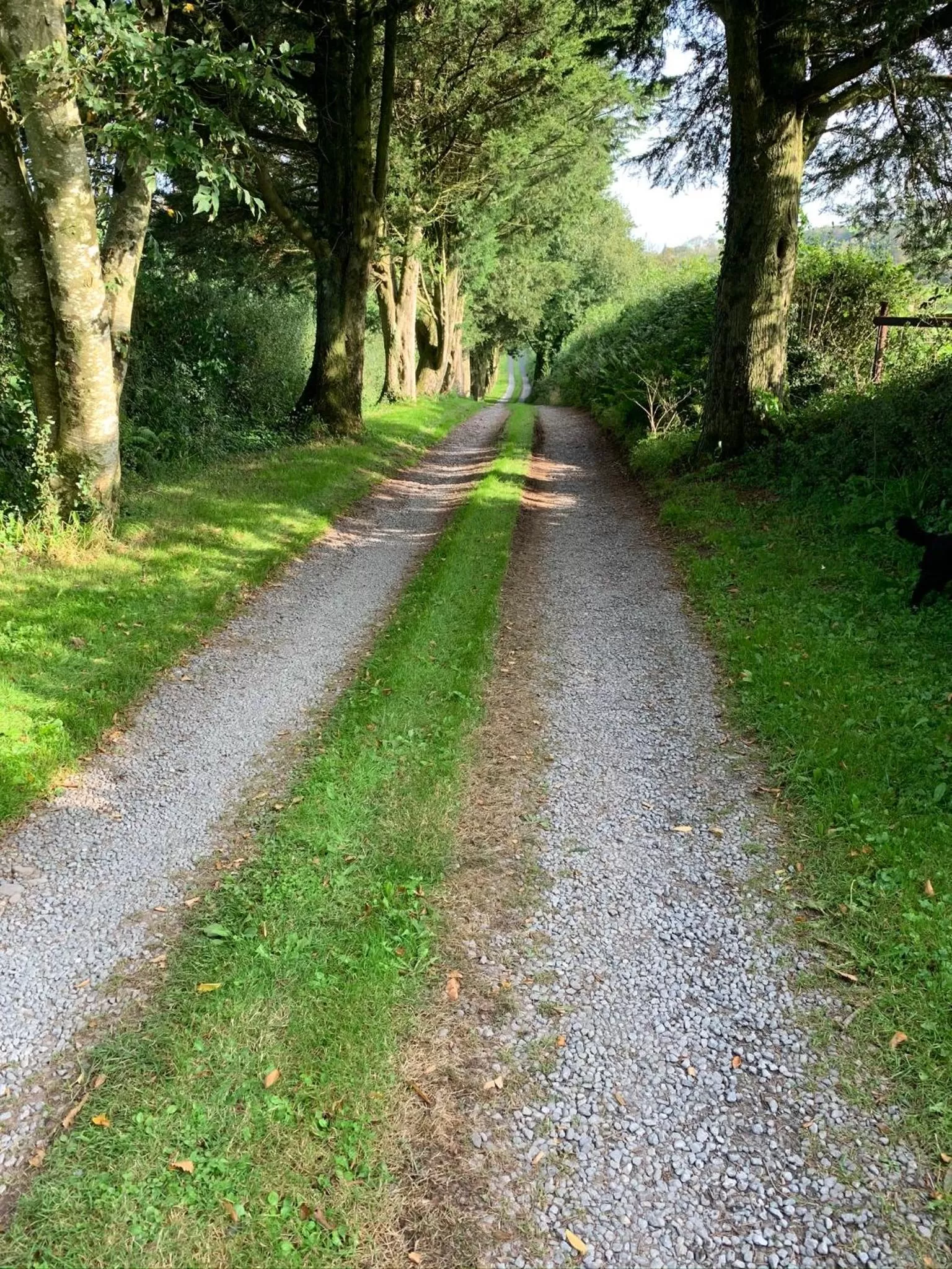 The Reindeer Retreat Daisy Double